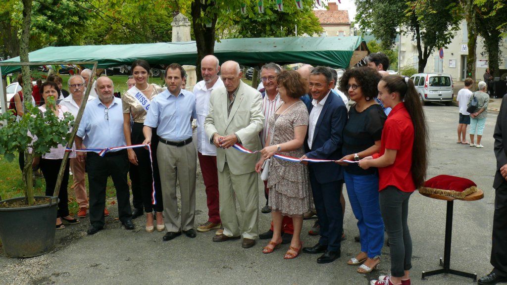 P1590169.JPG