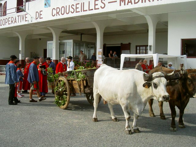 CROUSEILLES  LA FETE DES VENDANGES 2006.JPG