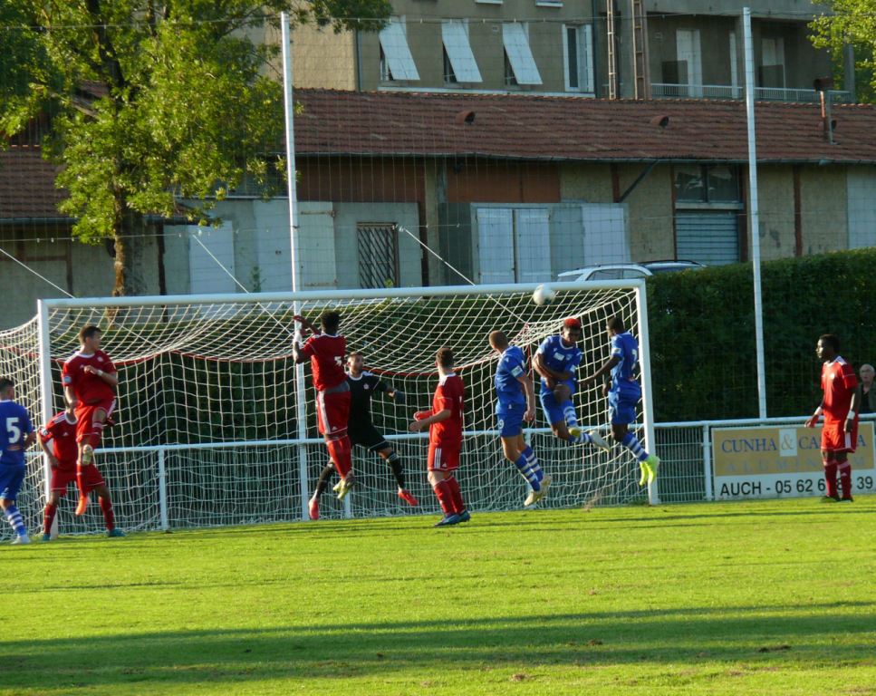 P1590581.JPG