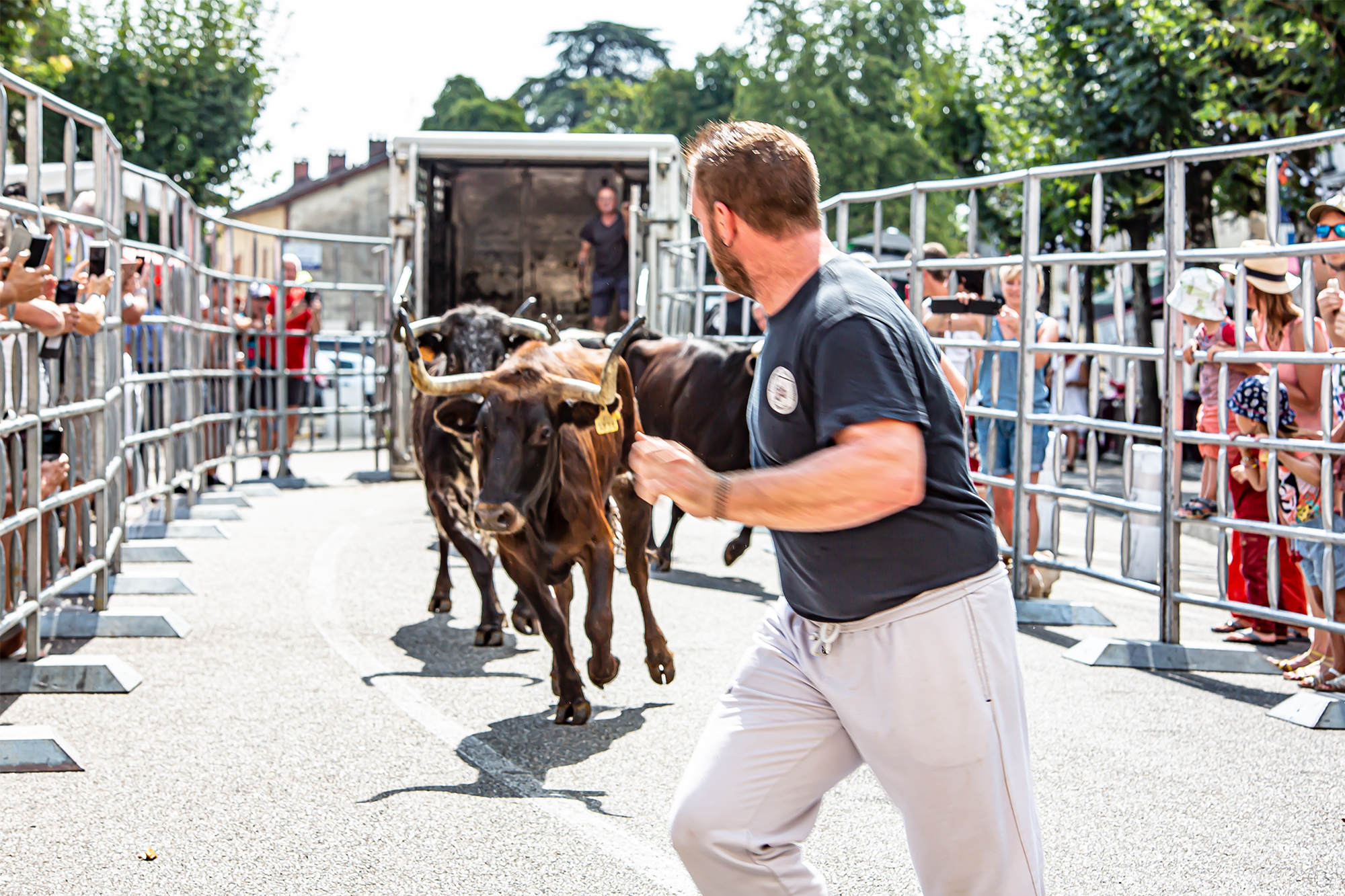 4 Sortie des vaches 1bis 180819.jpg