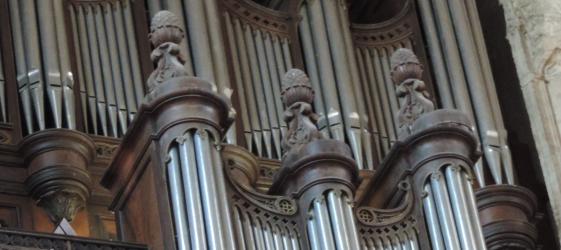 Orgue Condom 201609191043190RQw-image(postpage).jpg