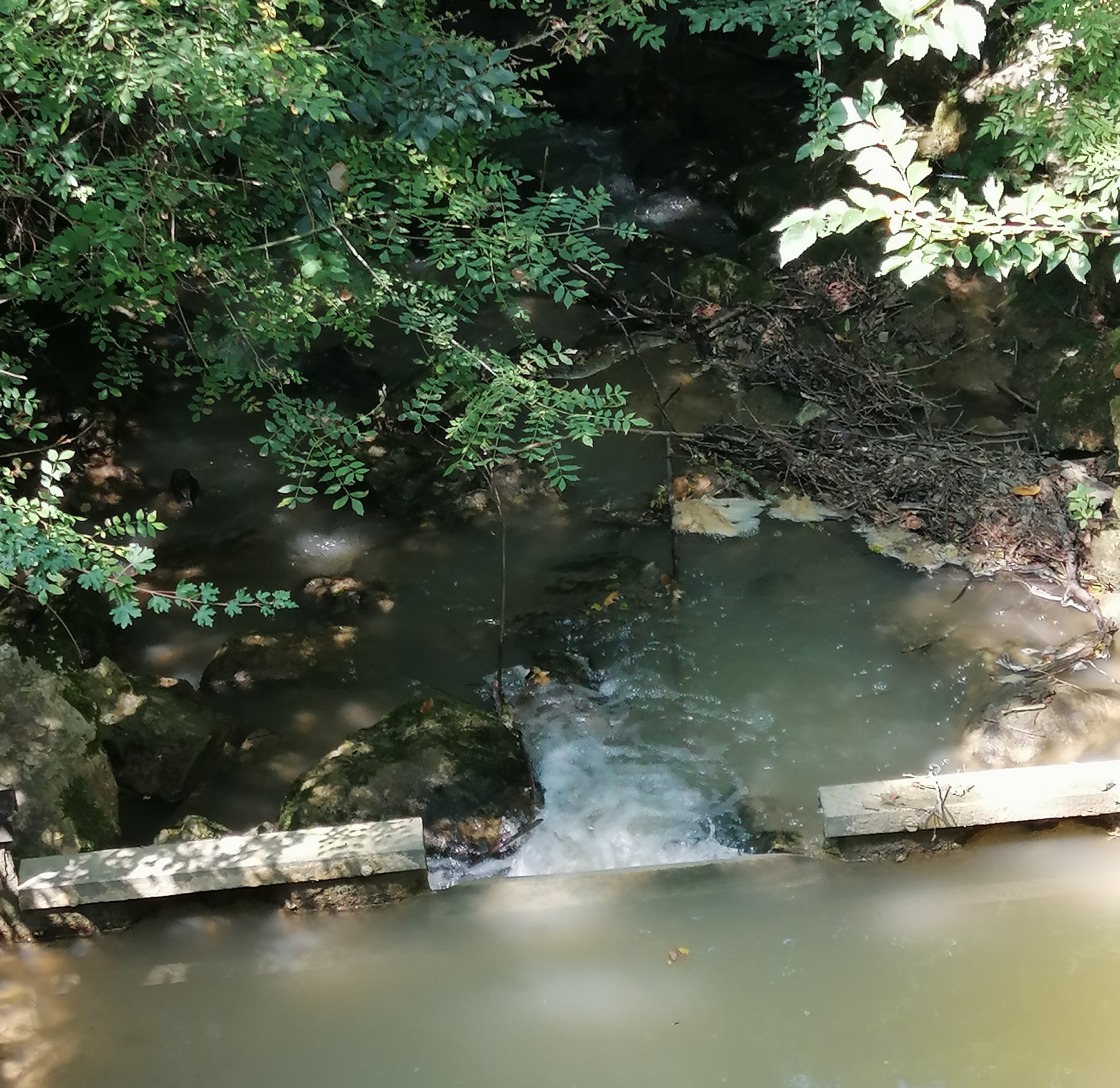 photo 4.jpg