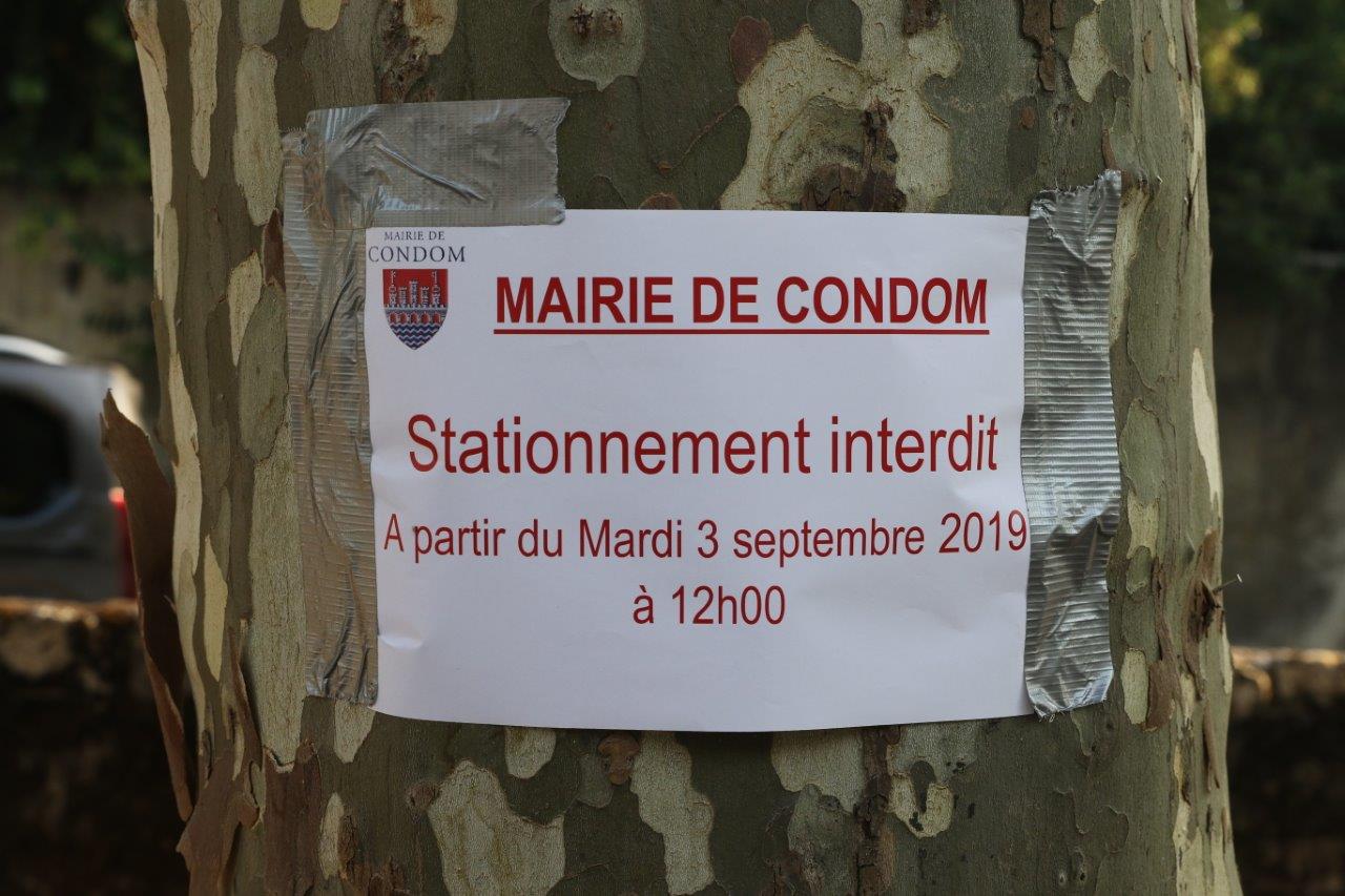 Condom 2R6A1548.jpg