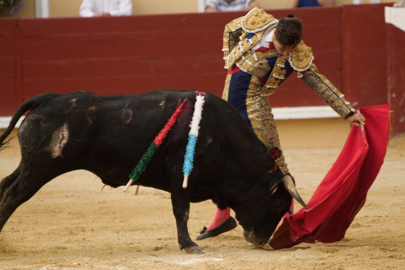 _MG_3205.jpg