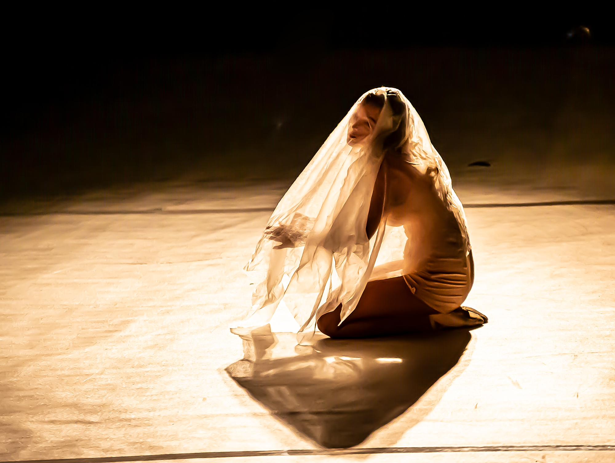 49 Spectacle de l'Ecole de danse Nogaro 1bis 300819.jpg