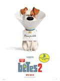 betes2.jpg