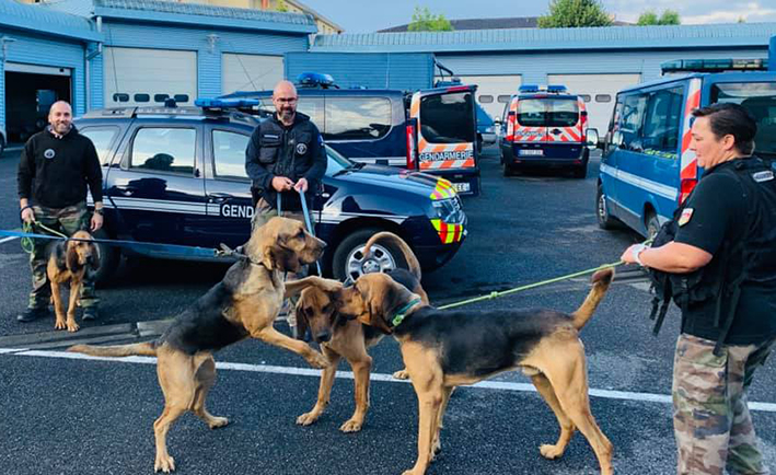 gendarmerie chien crockdur 2.jpg