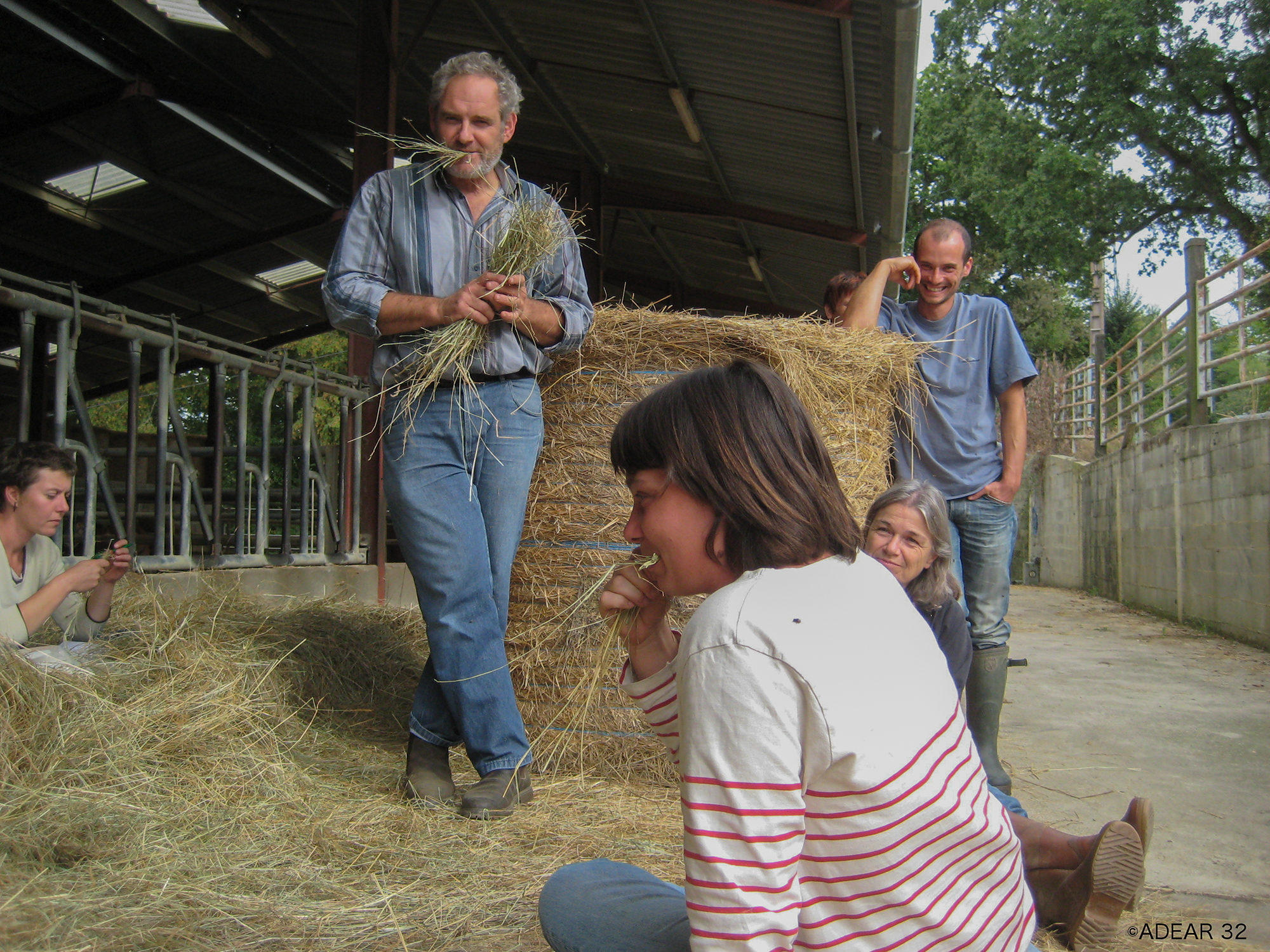DR 1 Arbre et paysage Jean et Cyril Hamot (agriculteurs à Montadet).JPG