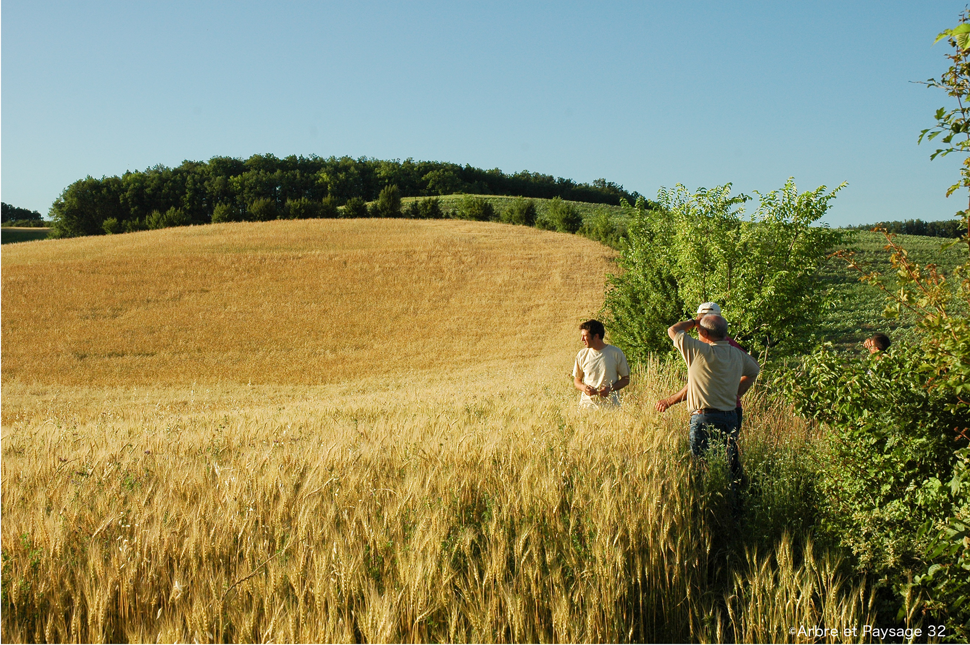 DR 4 Arbre et paysage Michel et Clément Nédellec - La Ferme de Loran (à Saint-Maur).JPG