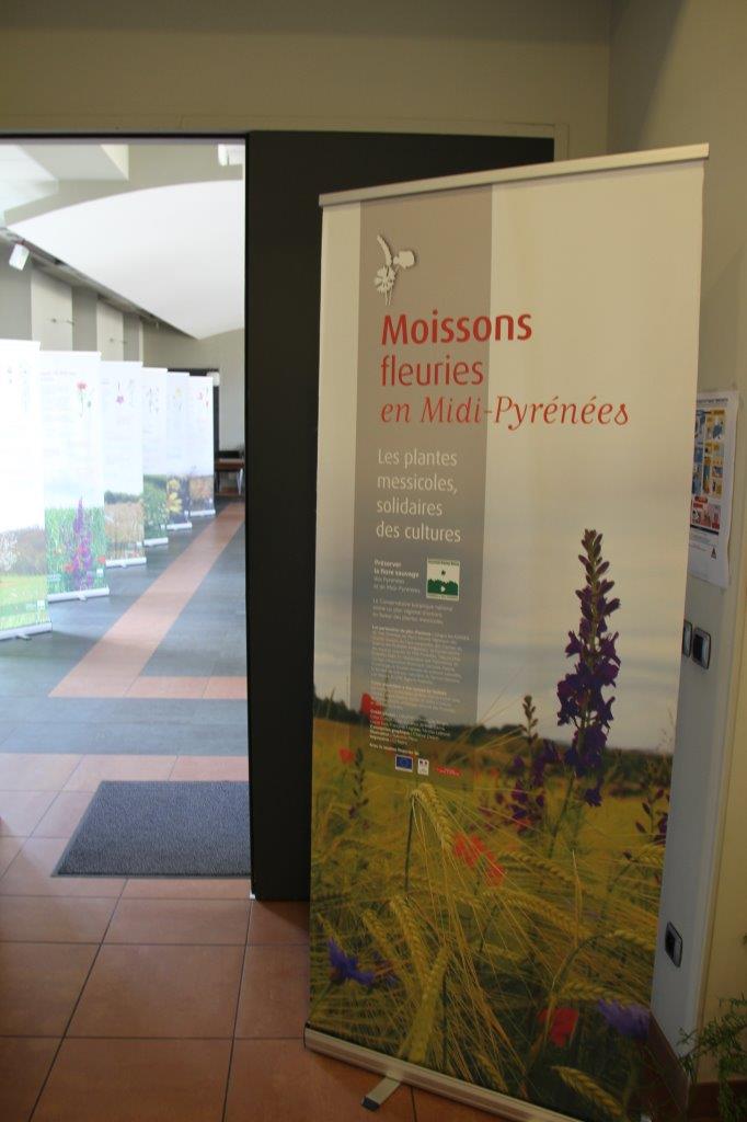 Expo plantes IMG_0487.jpg