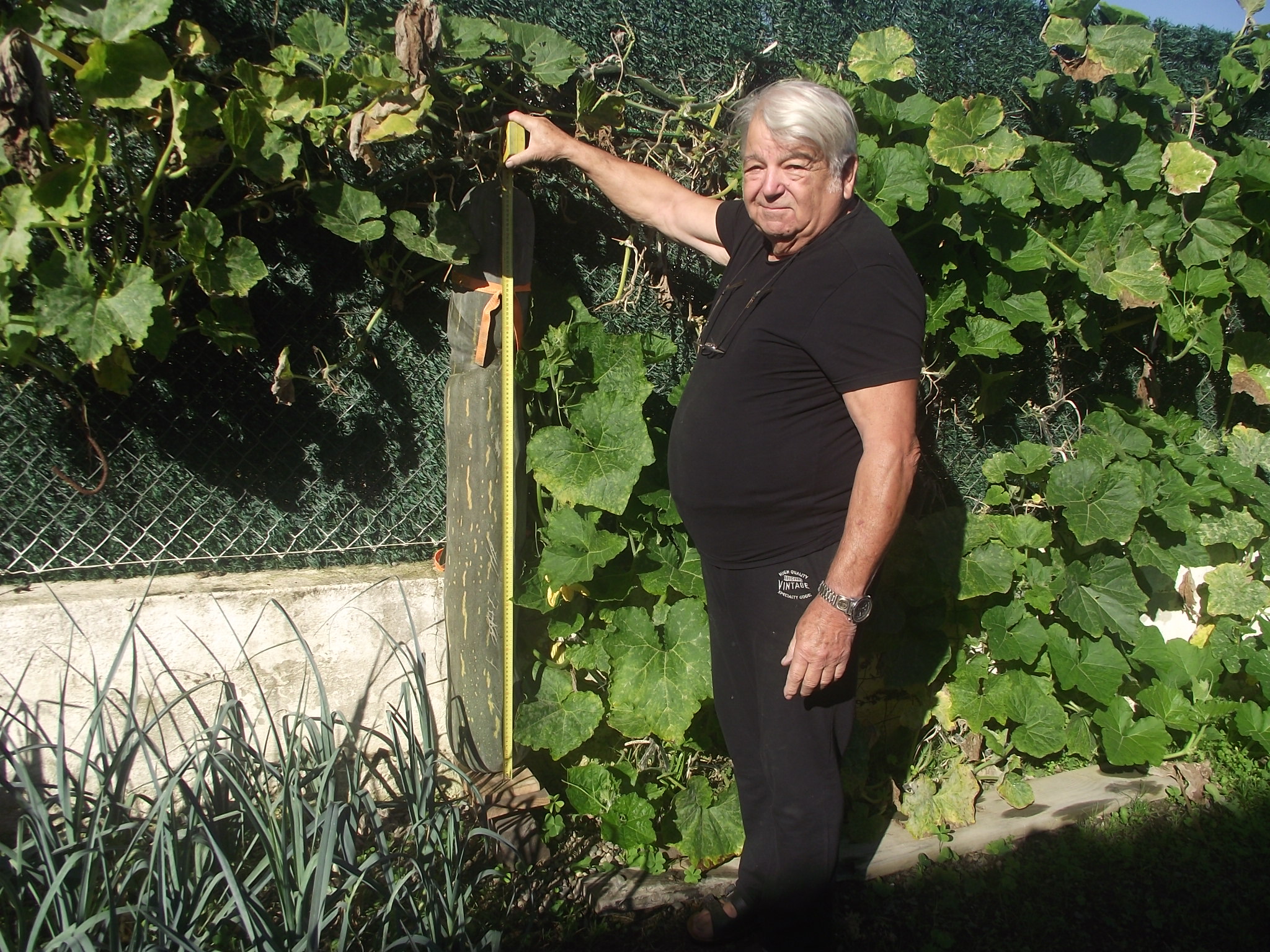 RISCLE COURGETTE M MAGIN DSCF3515 (3).JPG