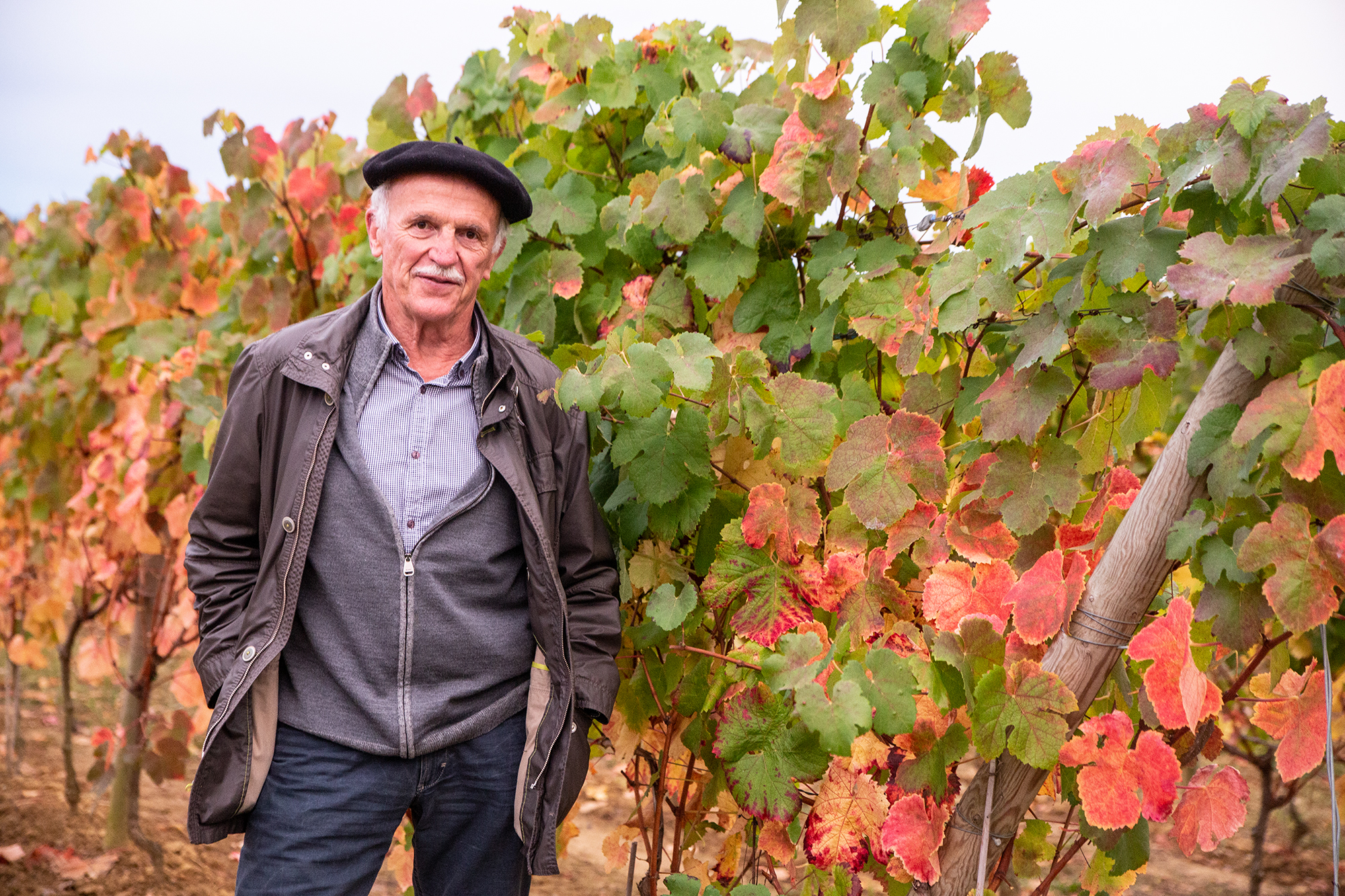 6 André Dubosc devant les vignes d'expérimentation 1bis 181019.jpg