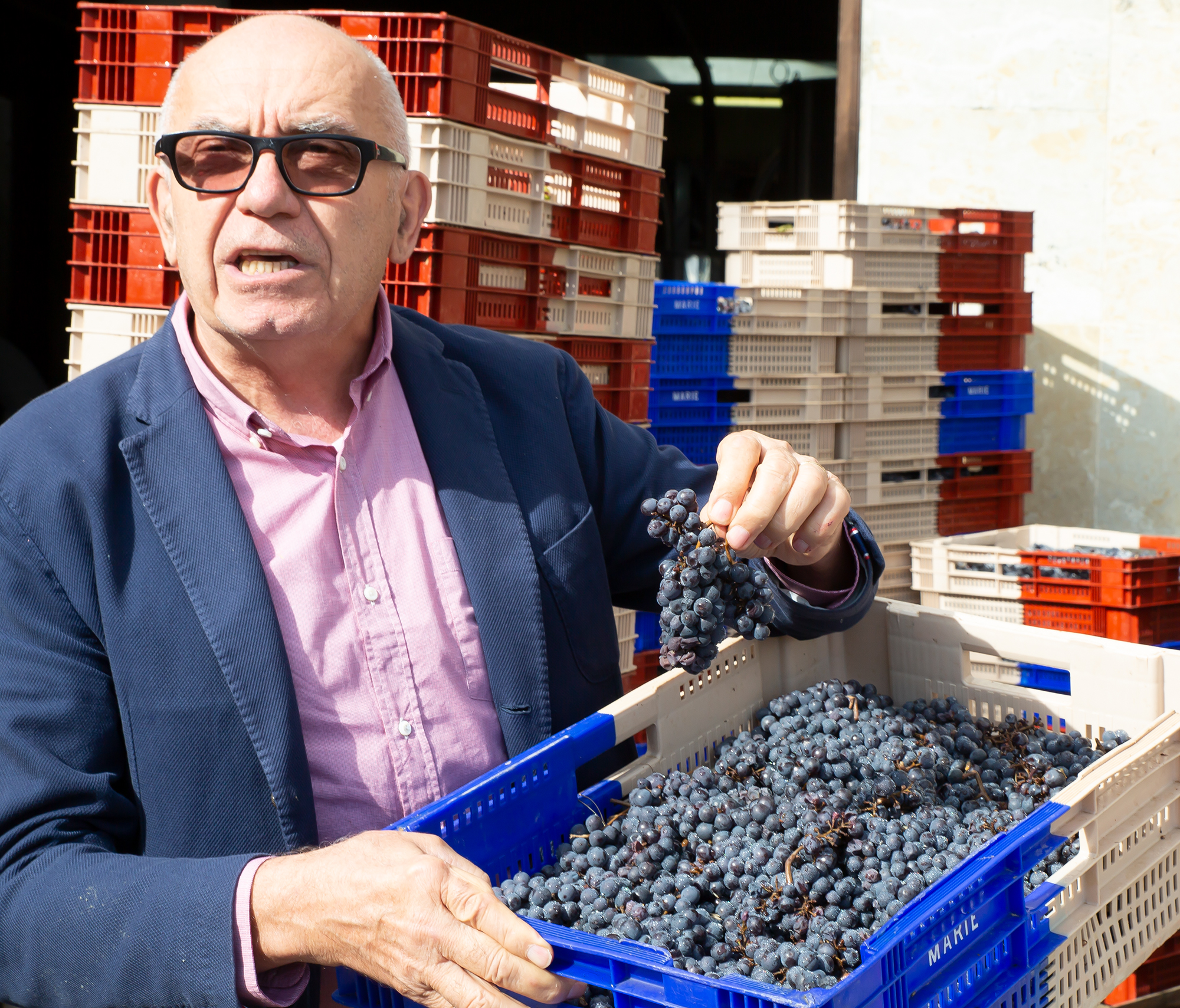 3 Alain Brumont 1bis 031019.jpg