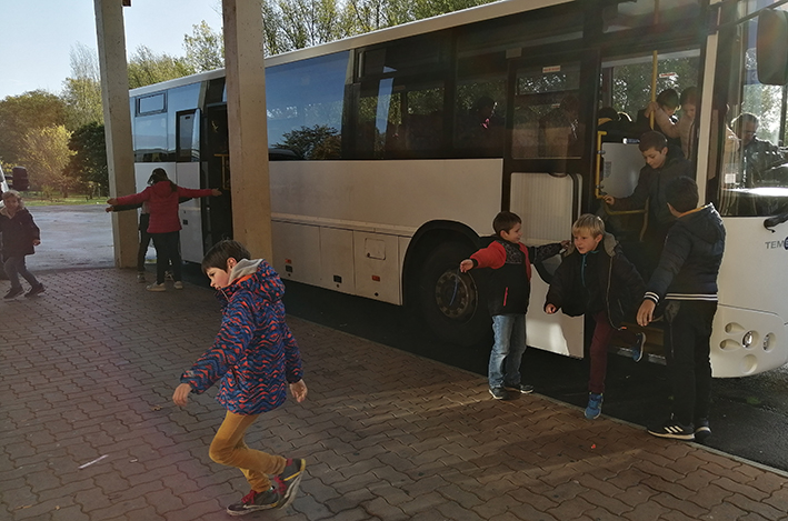 IMG_20191112_102452 (002).jpg