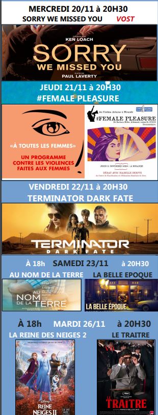 cinéma 2011.JPG