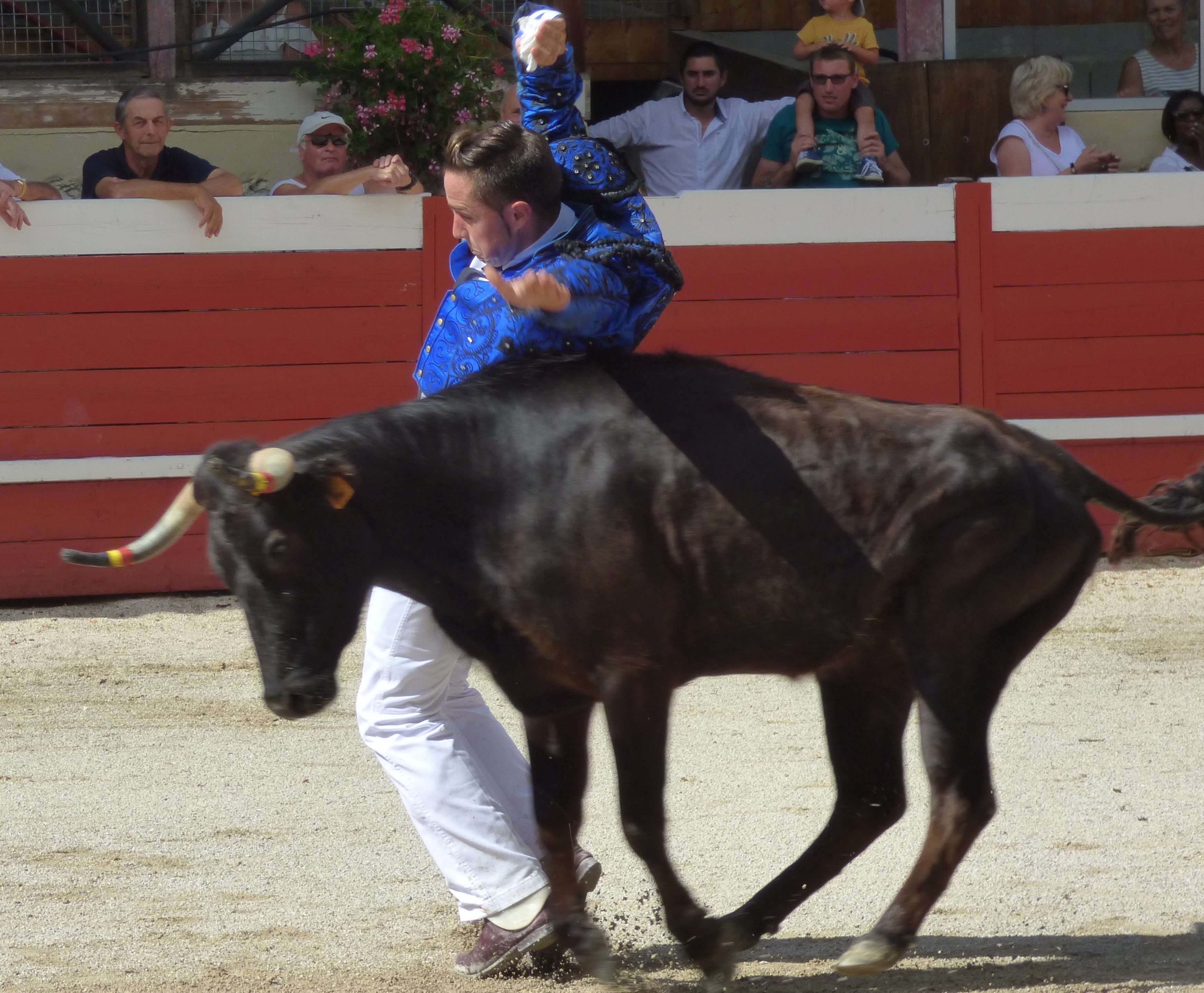 P1050199.JPG