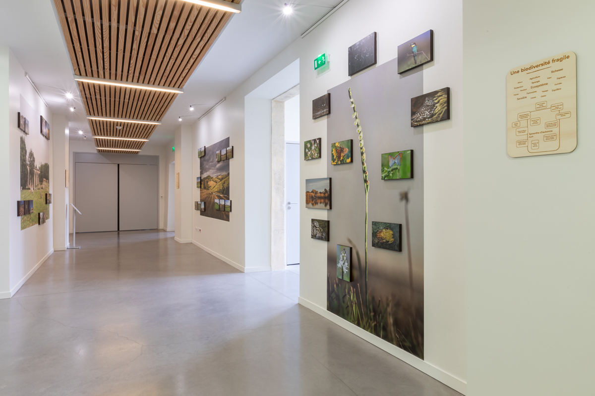 Exposition_Transition_Isabelle Souriment.jpg