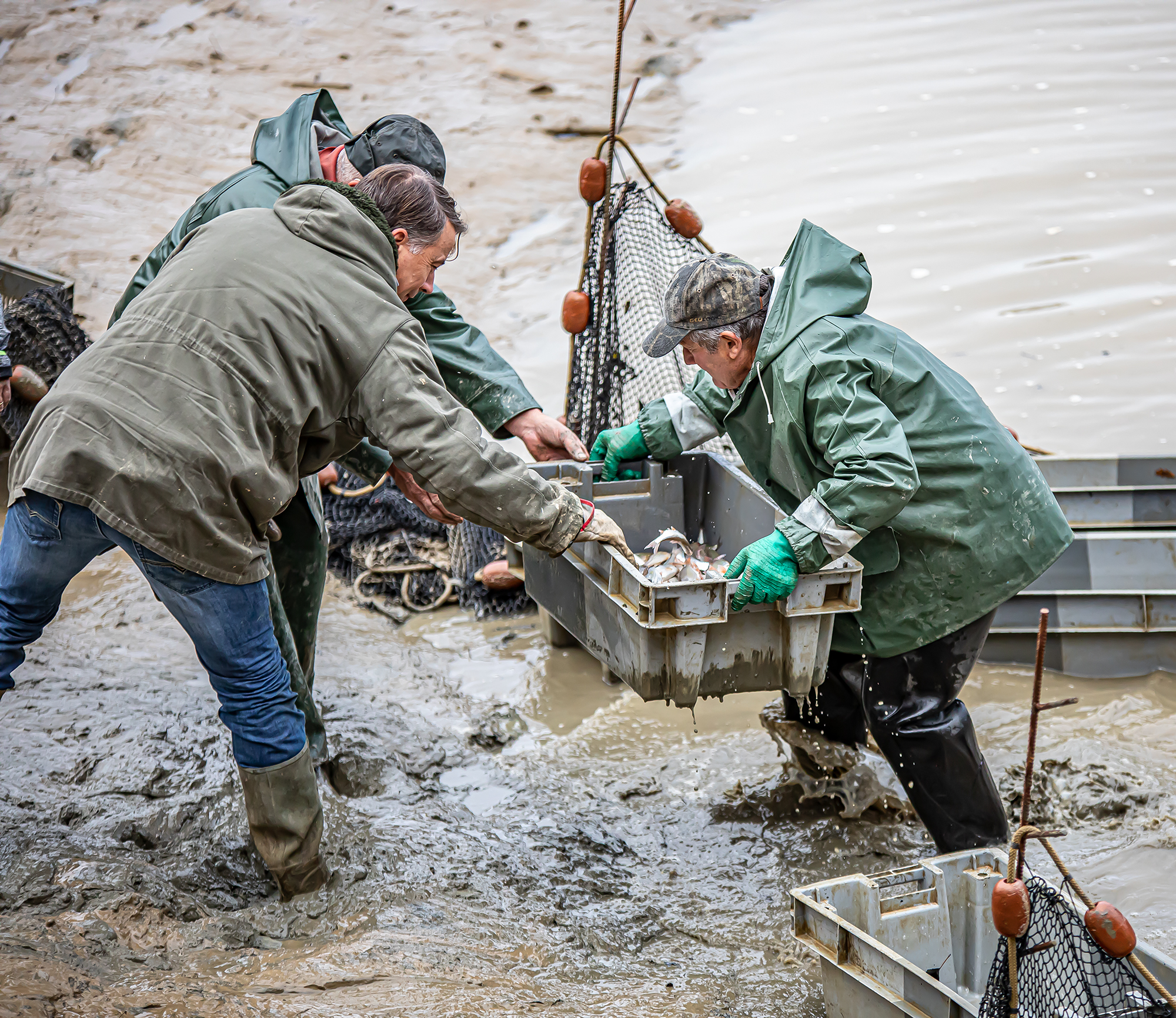 16 Sortir les poissons 1bis 291119.jpg