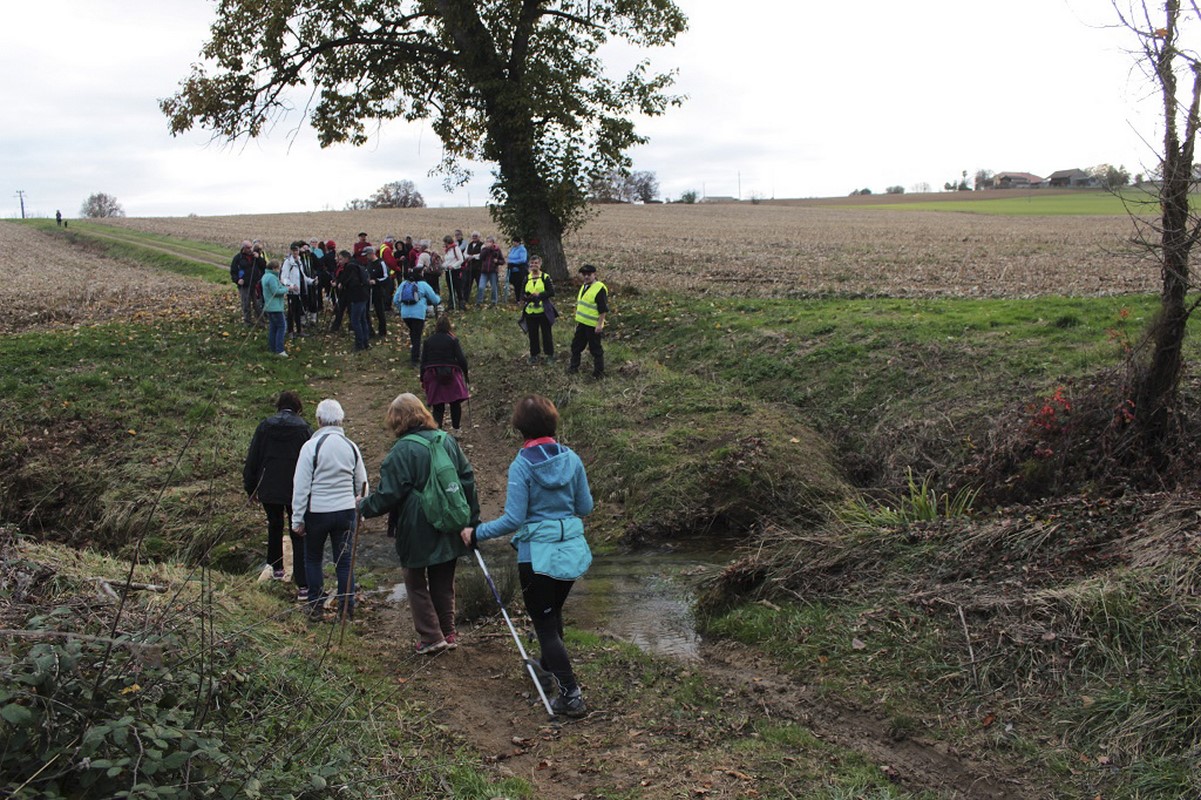 ACTA 08122019 Un passage à gué d'un ruisseau [1280x768].jpg