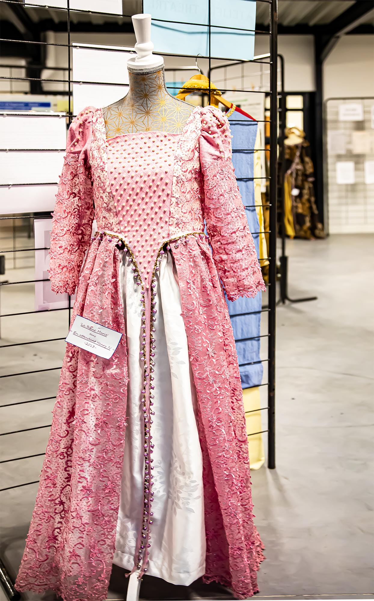 7 Robe de la reine Marie En attendant HIV 1bis 291119.jpg
