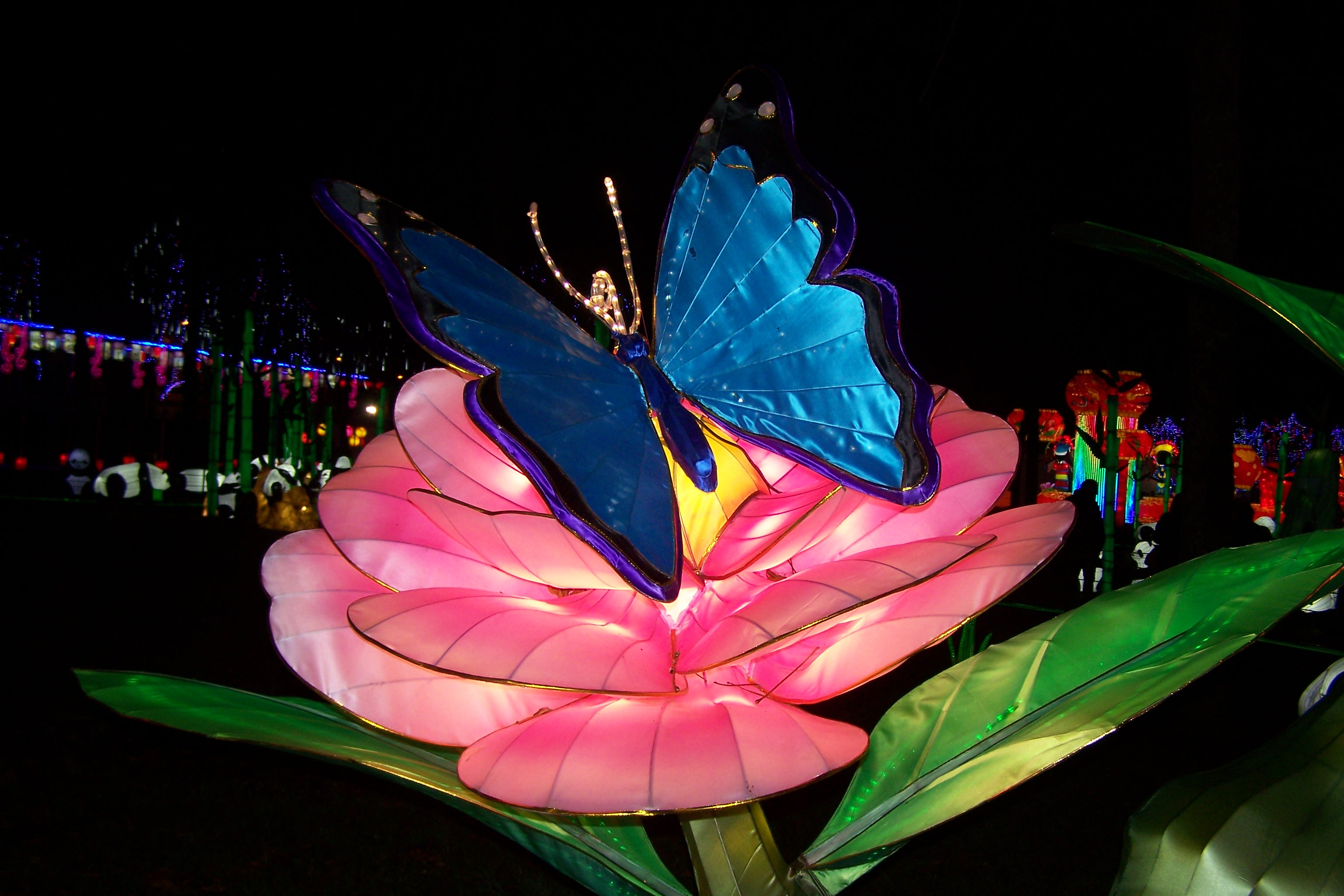 Festival des lanternes à Gaillac 008.JPG