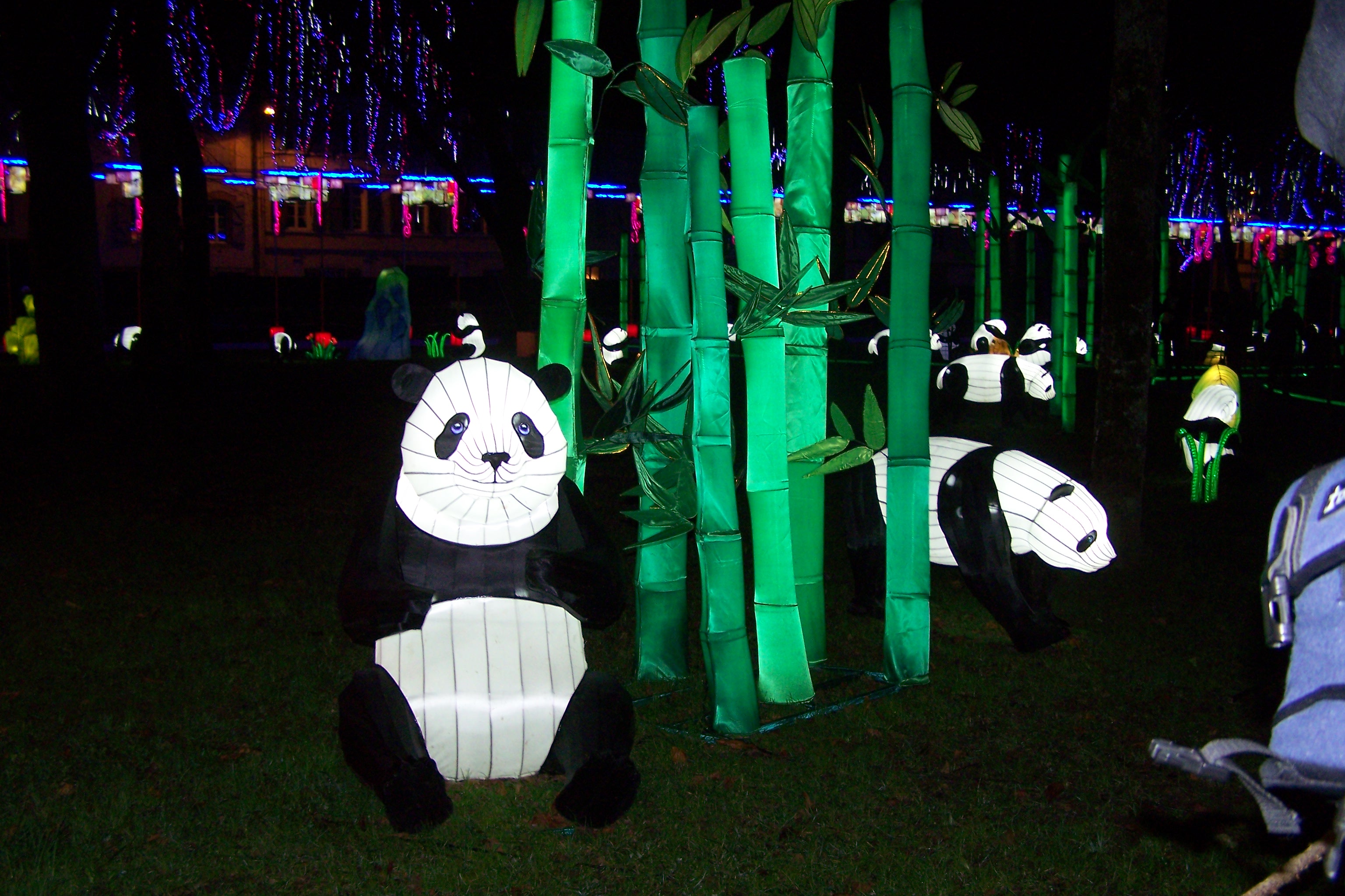 Festival des lanternes à Gaillac 009.JPG