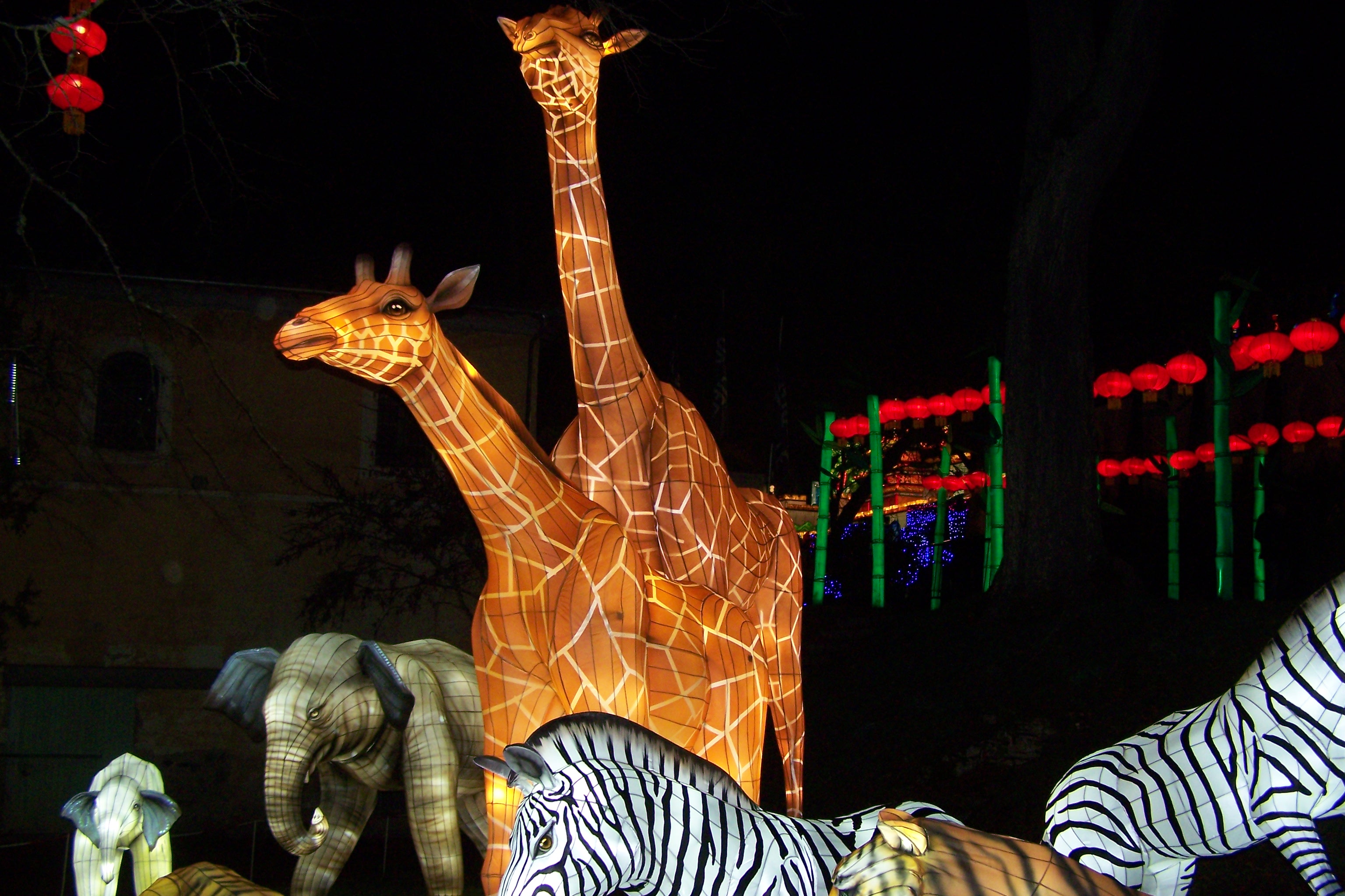 Festival des lanternes à Gaillac 028.JPG