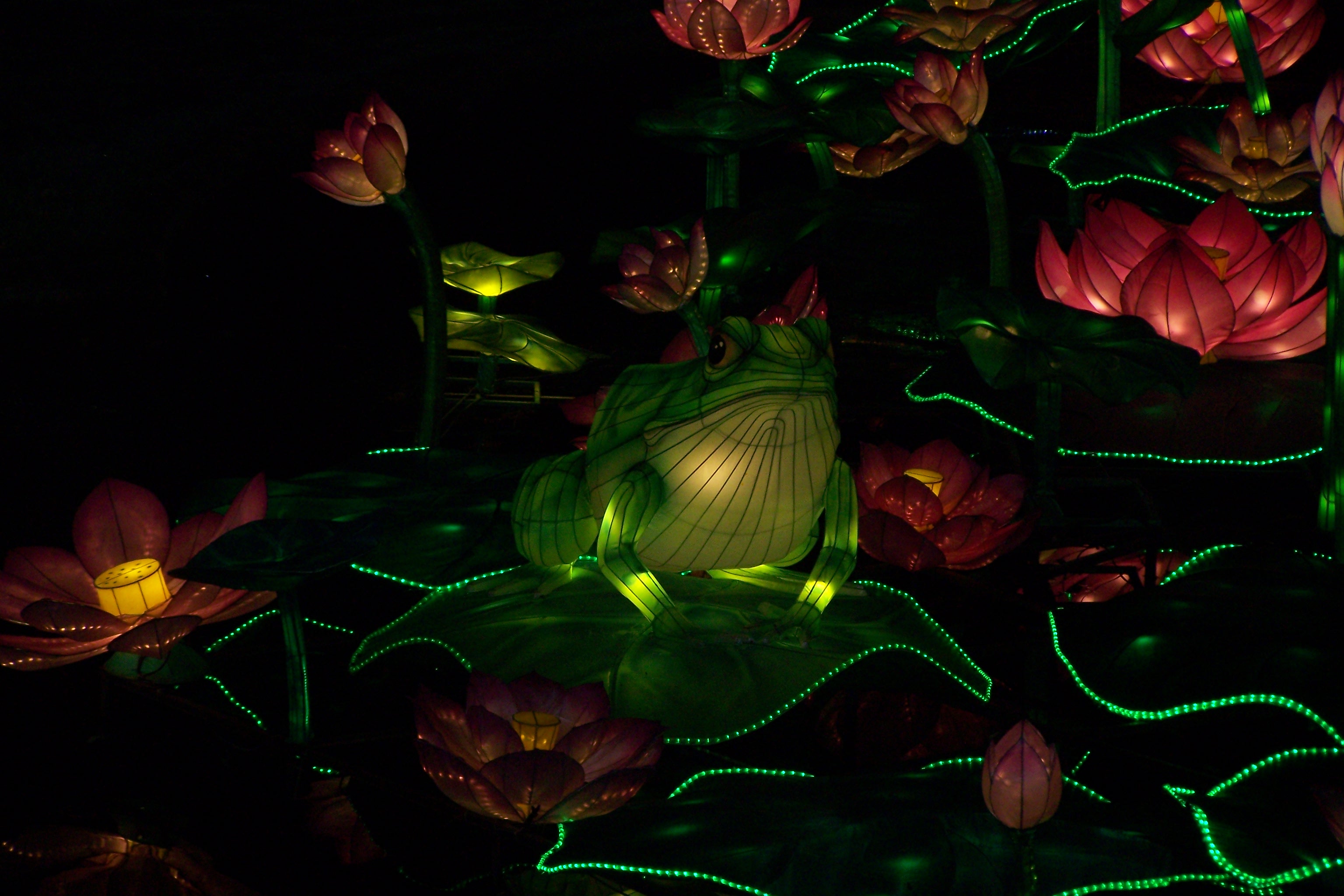 Festival des lanternes à Gaillac 019.JPG