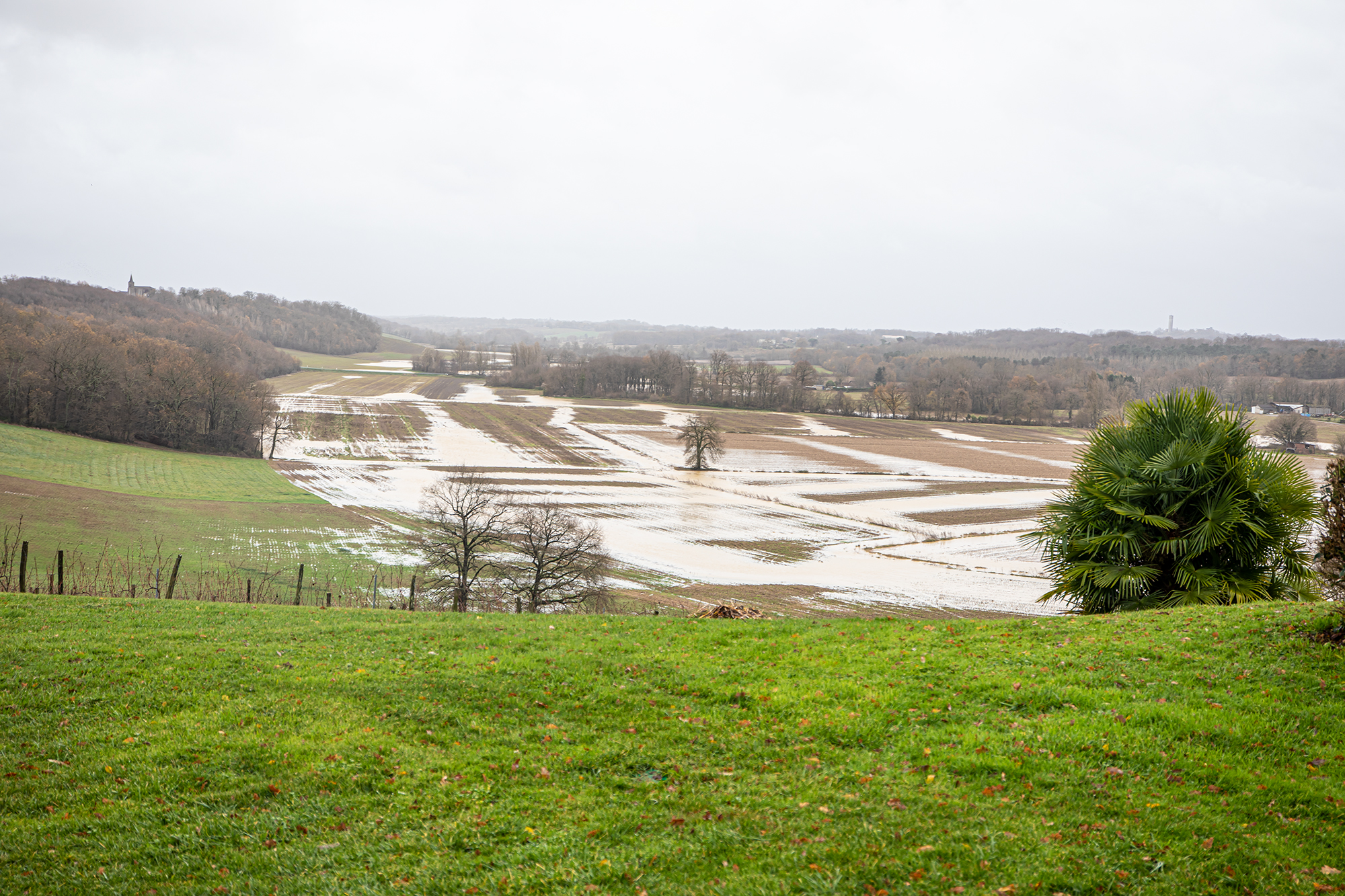 6 Le marécage en formation l'après-midi 1bis 131219.jpg