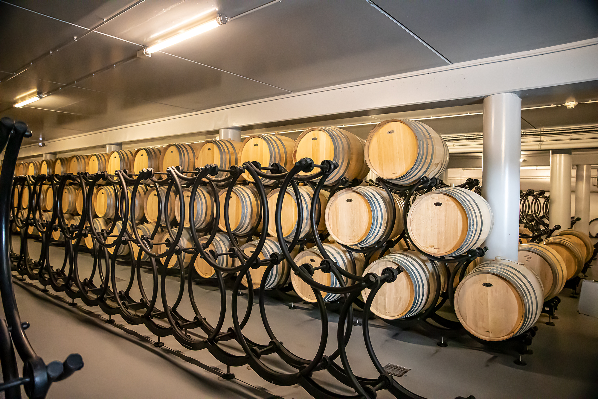 10 Le chai de vin 1bis 171219.jpg