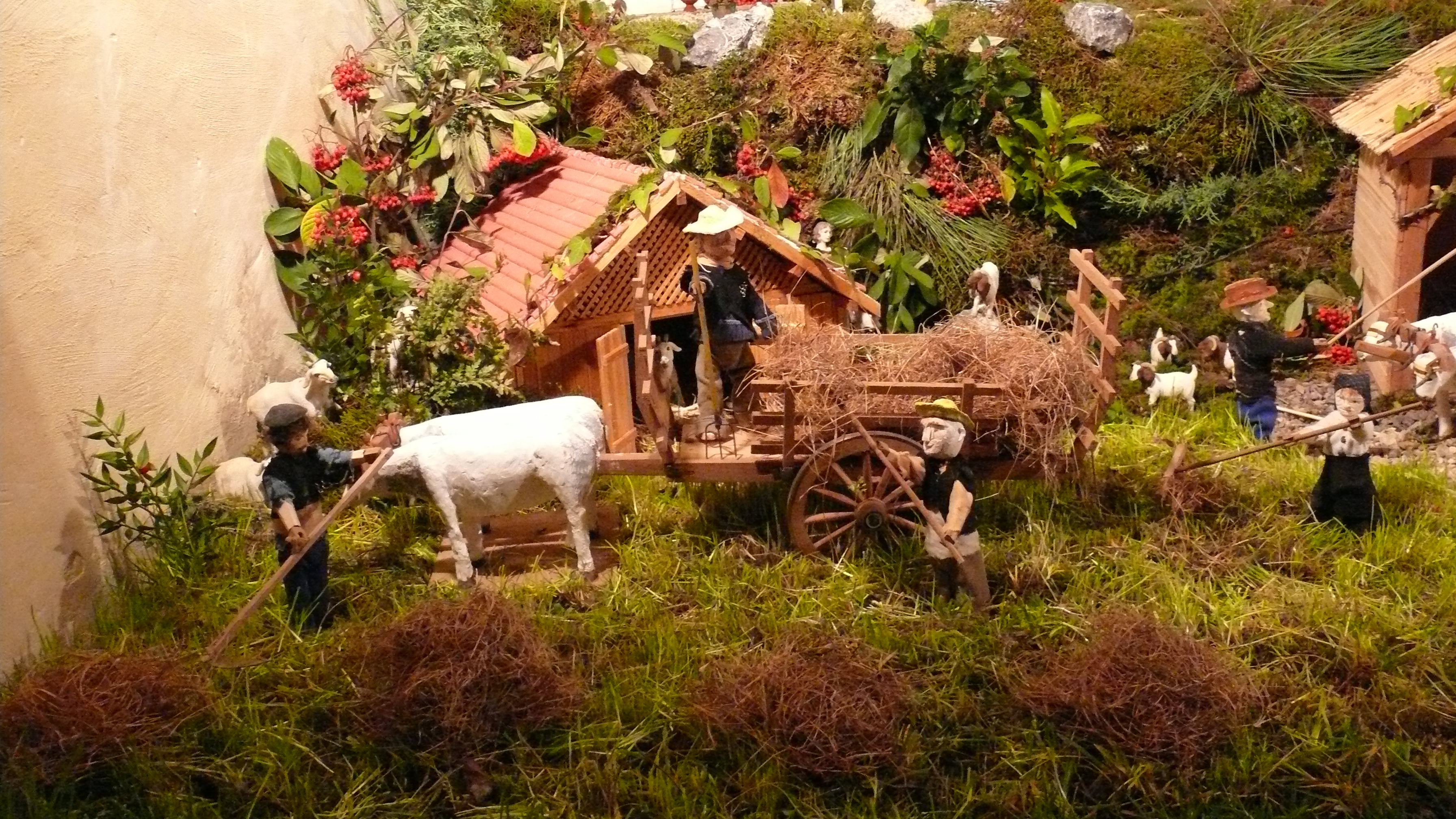 P1630781.JPG