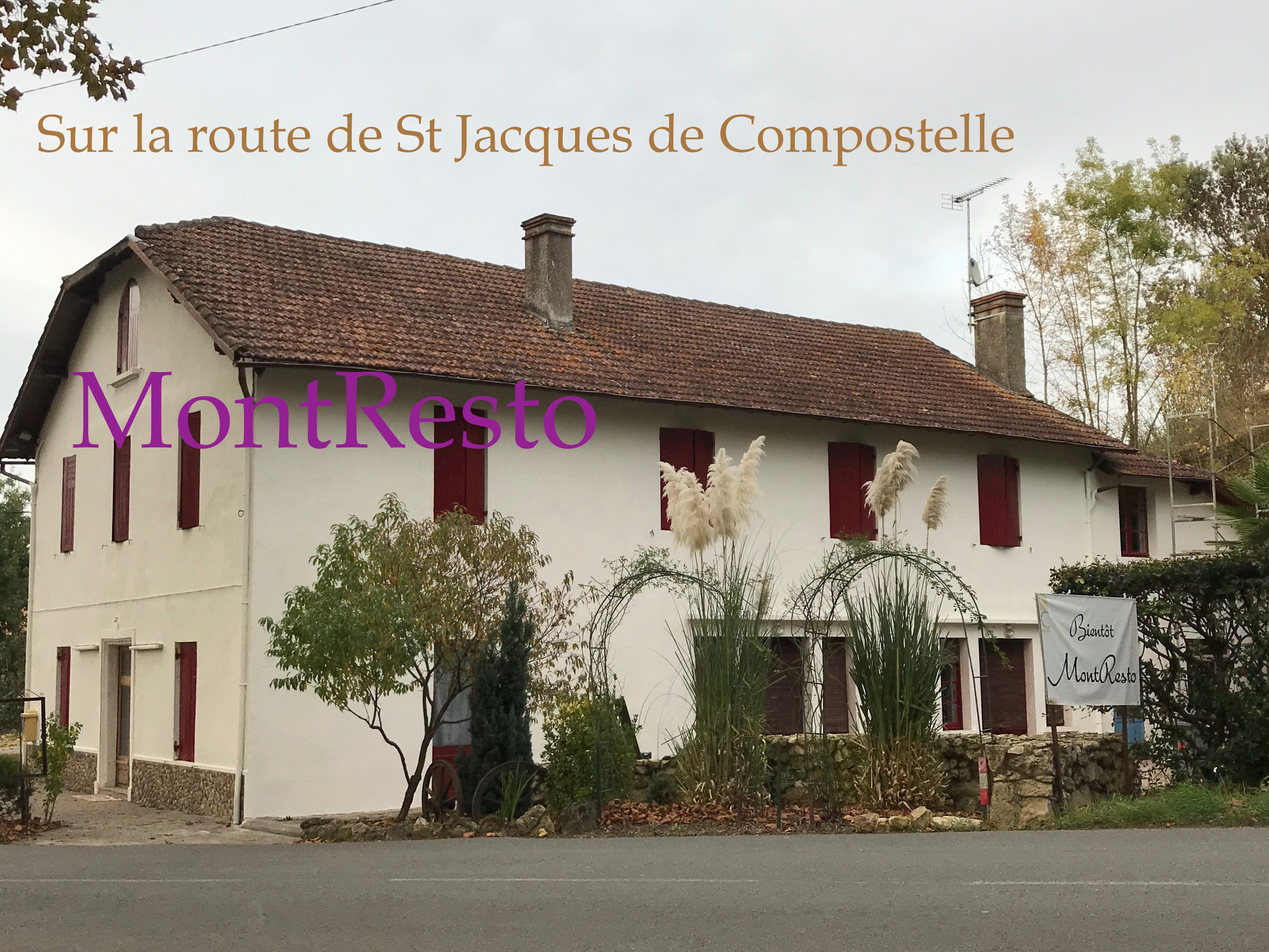 MONTREAL DU GERS IMG_0509 (1).jpg
