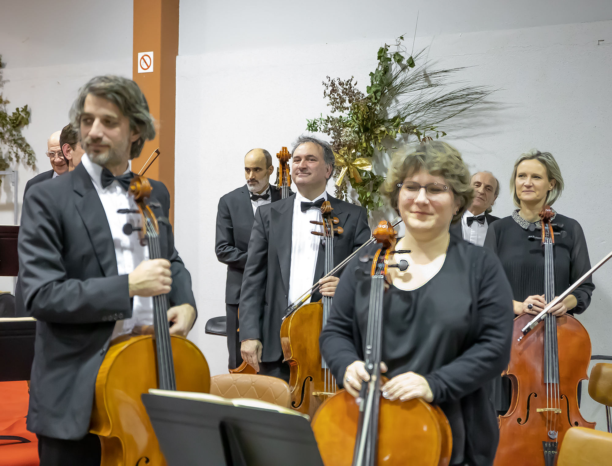 22 Violoncelles 1bis 120120.jpg