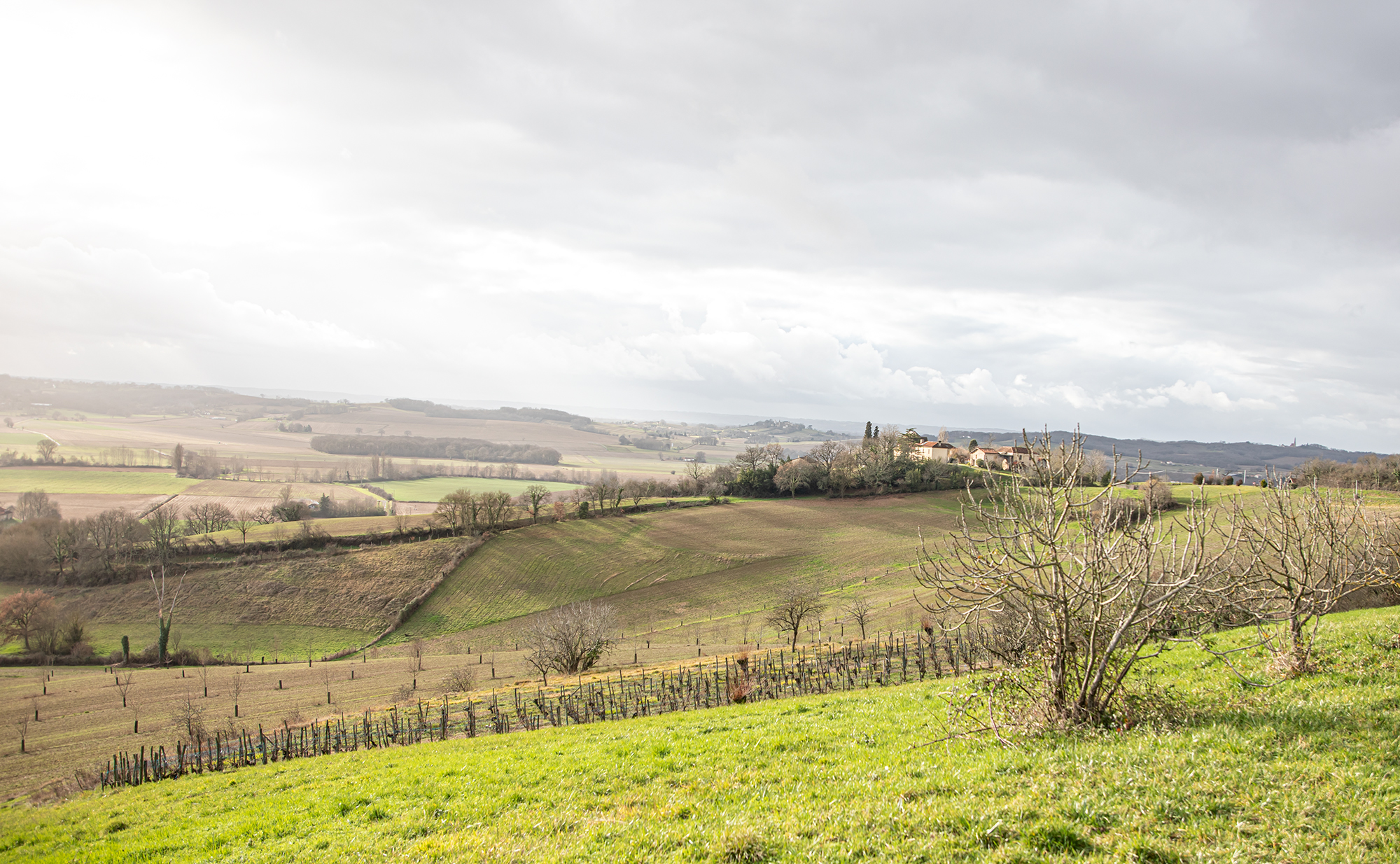 2 Ricourt de la ferme Pascal Lahille 1bis 100120.jpg