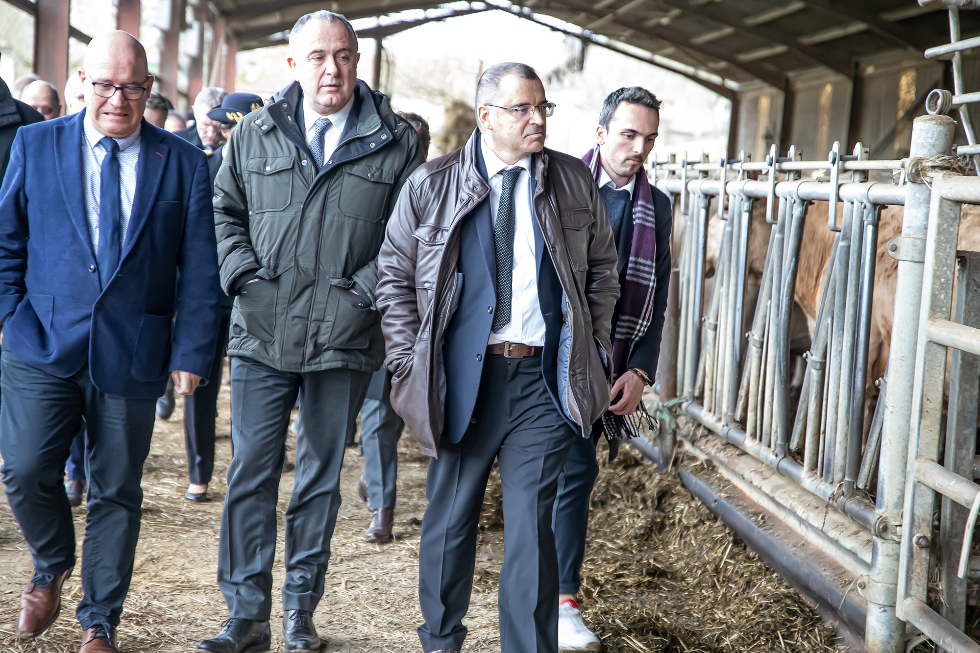 8 Dans l'élevage de Bernard Malabirade 1bis 100120.jpg