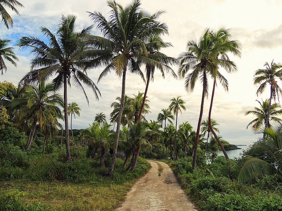 new-caledonia.jpg