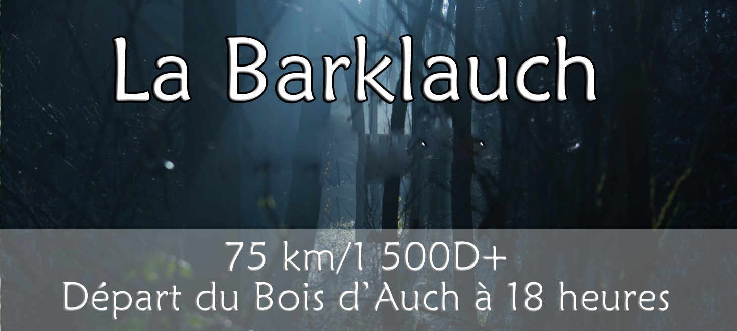 Barklauch bis.jpg