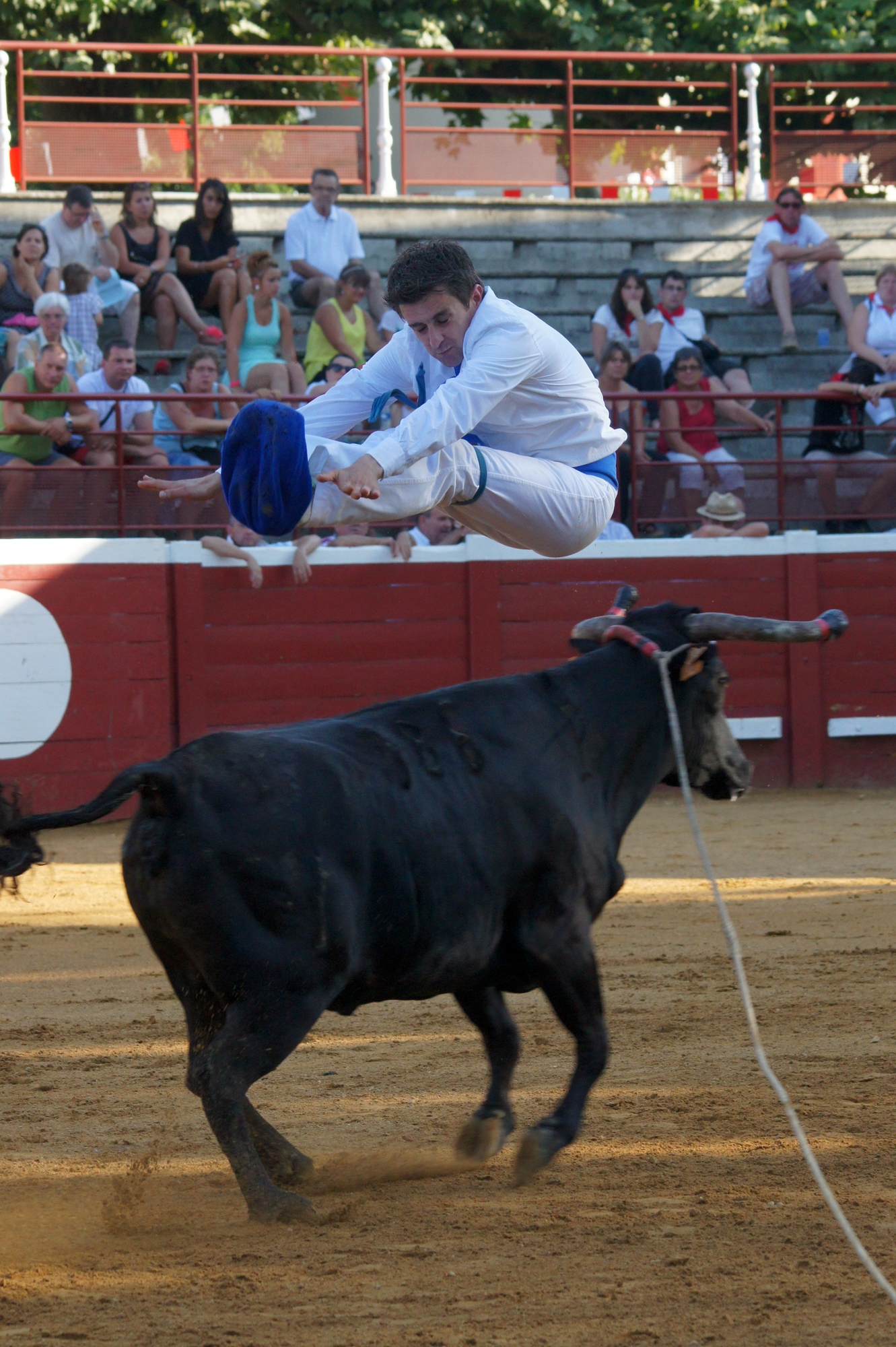 Saut---Copyright-Celine-LAFFARGUE.jpg