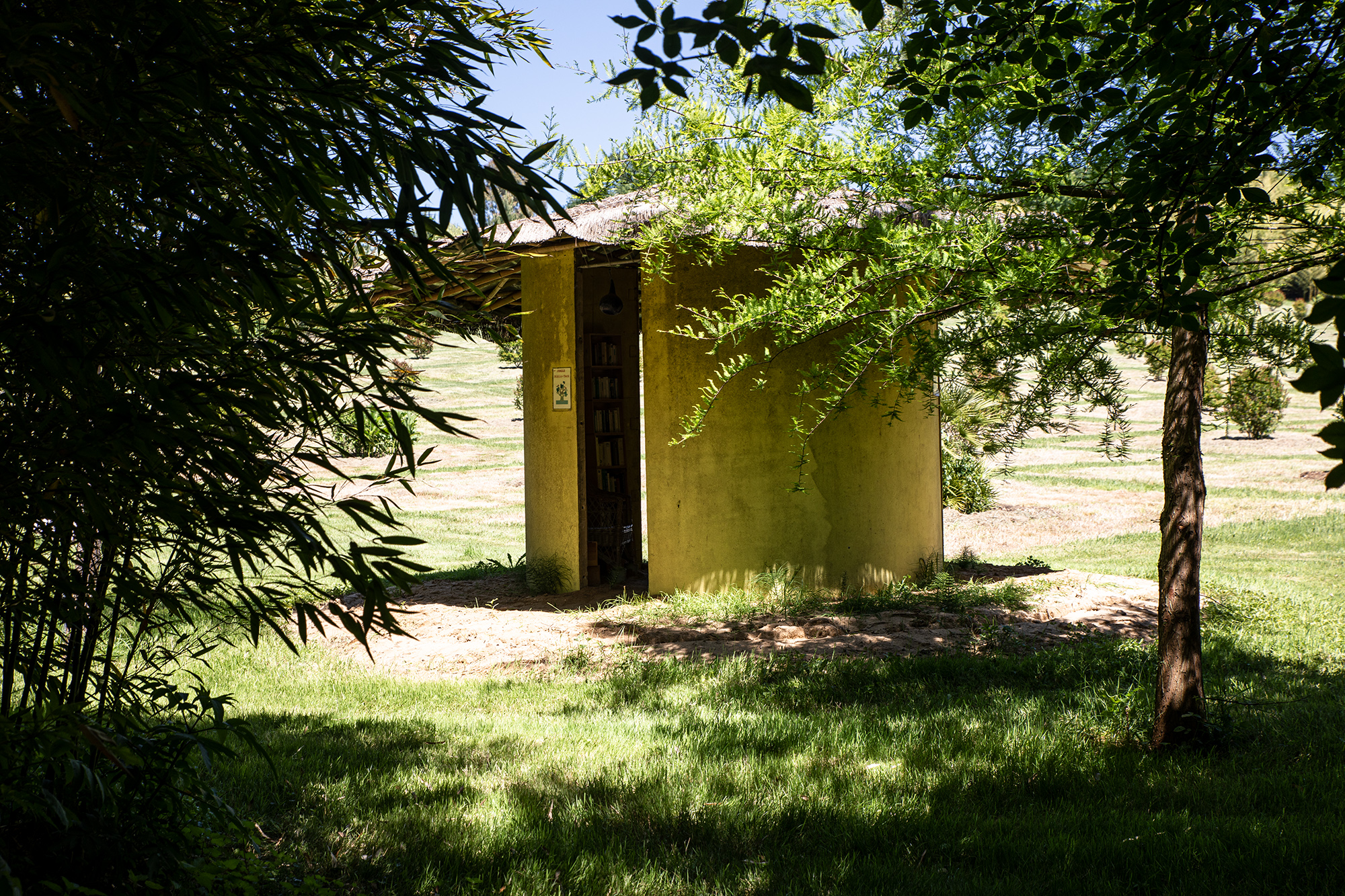 12 La bibliothèque 1bis 200520.jpg