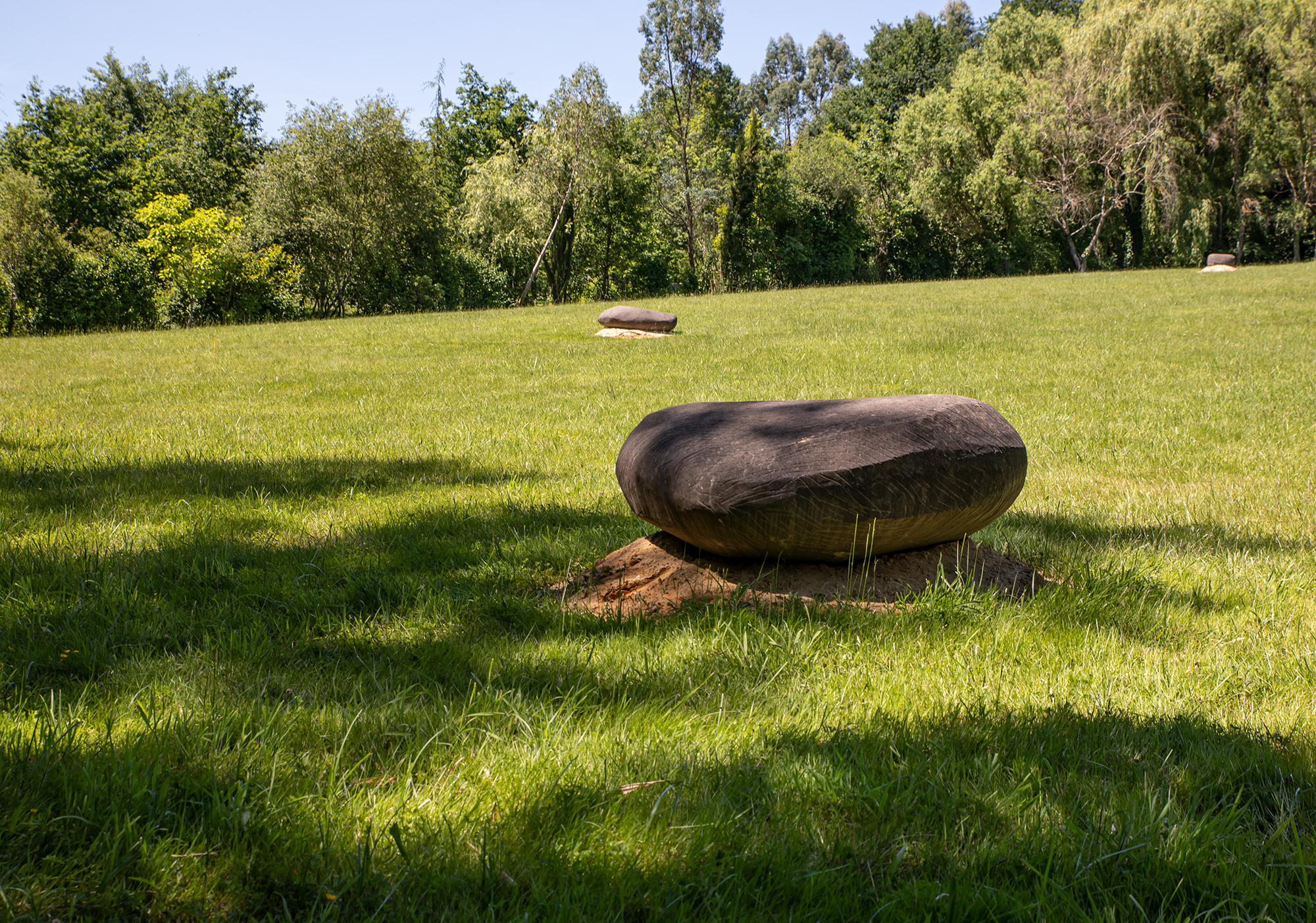 18 D'énormes galets ponctuent les espaces libres 1bis 200520.jpg