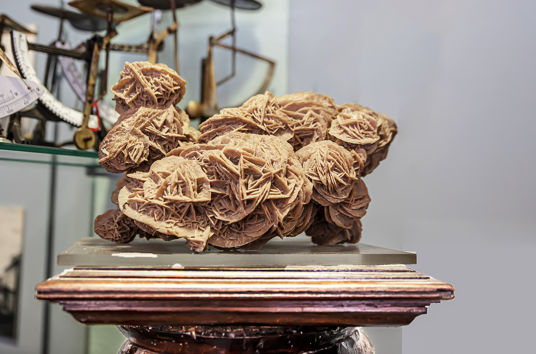 8 Rose des sables de grande taille 1bis 290520.jpg