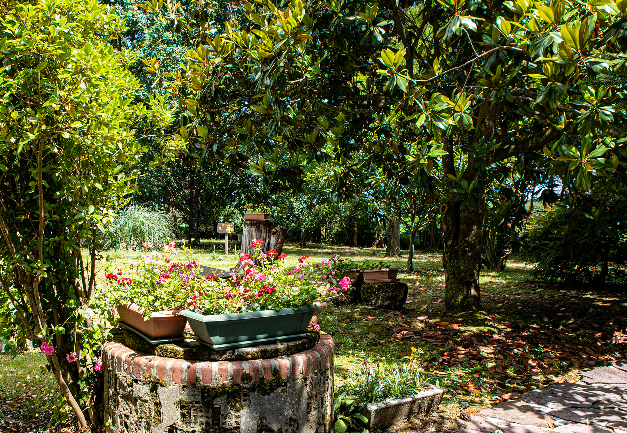 4 Le jardin du Musée du Paysan gascon 1bis 120620.jpg