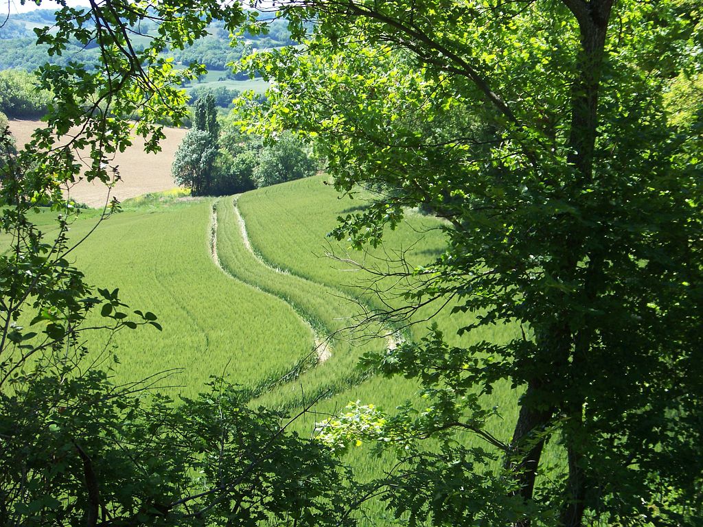 circuit des collines.jpg