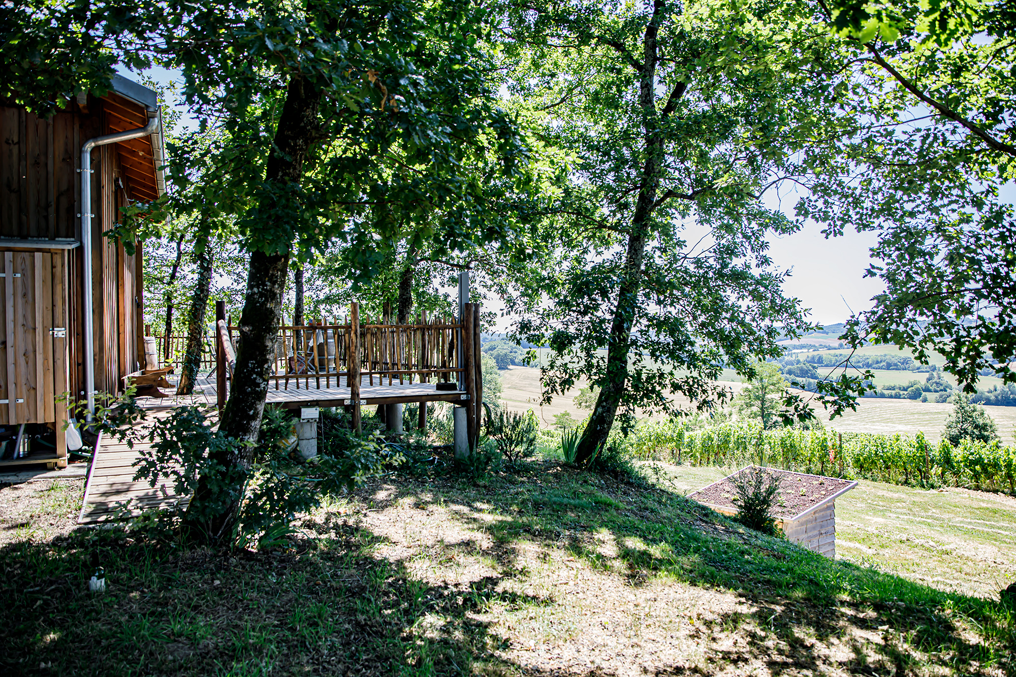 2bis La maison de vigne chez Sylvie tatieu-Bilhère à Couloumé 1bis 240620.jpg