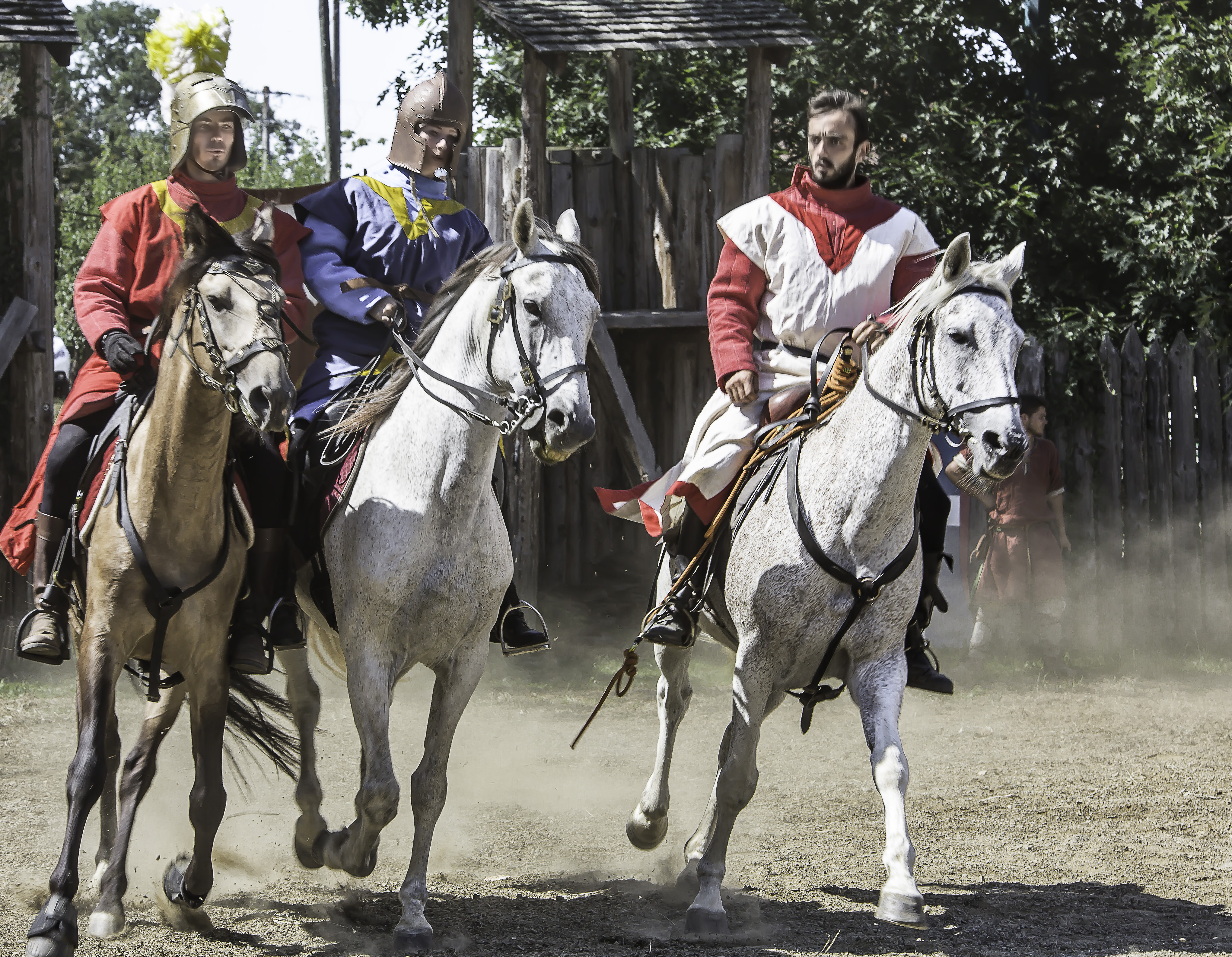 1 Arrivée des chevaliers 1bis 060817.jpg