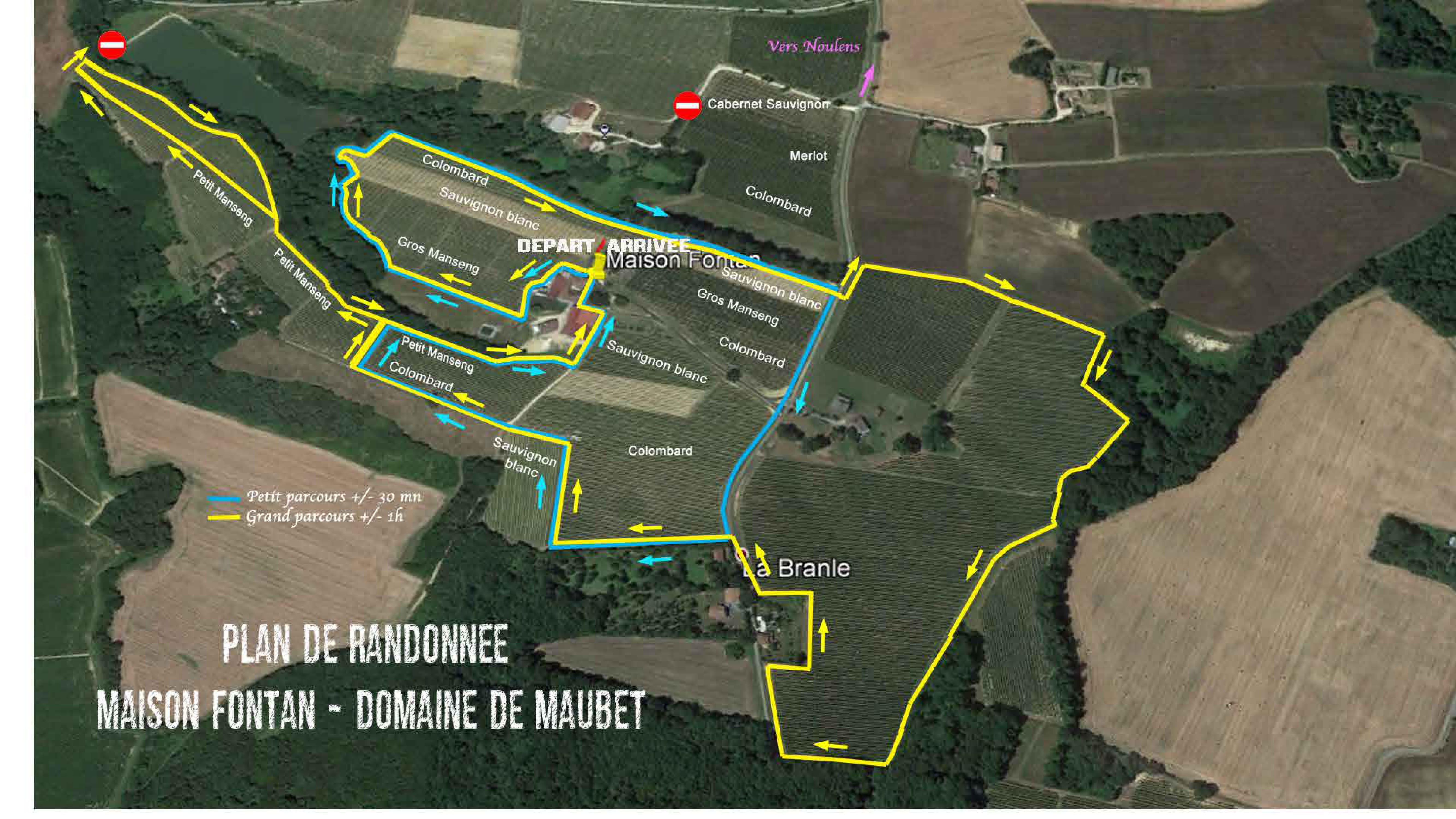 plan detaille 2020-1.jpg