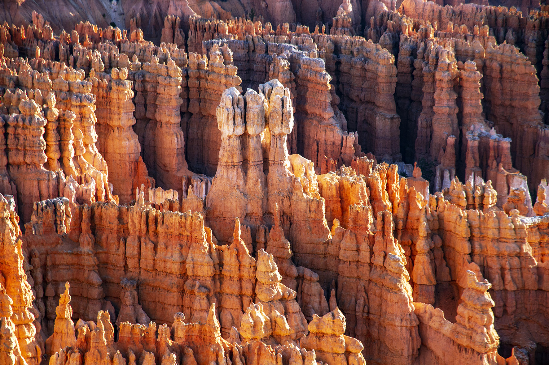 113-1832-Bryce Canyon-Inspiration point-r.jpg