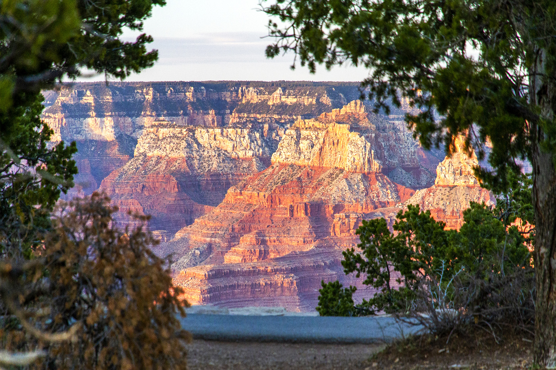 46-0582-Grd Canyon-r.jpg