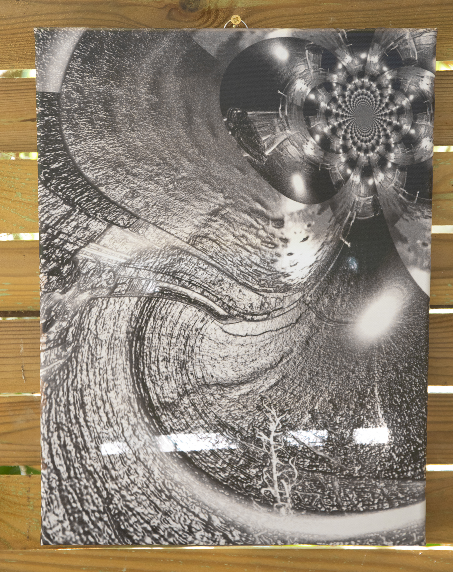 4 Photo sur toile de Claire Teissier-Godart 1bis  040920.jpg