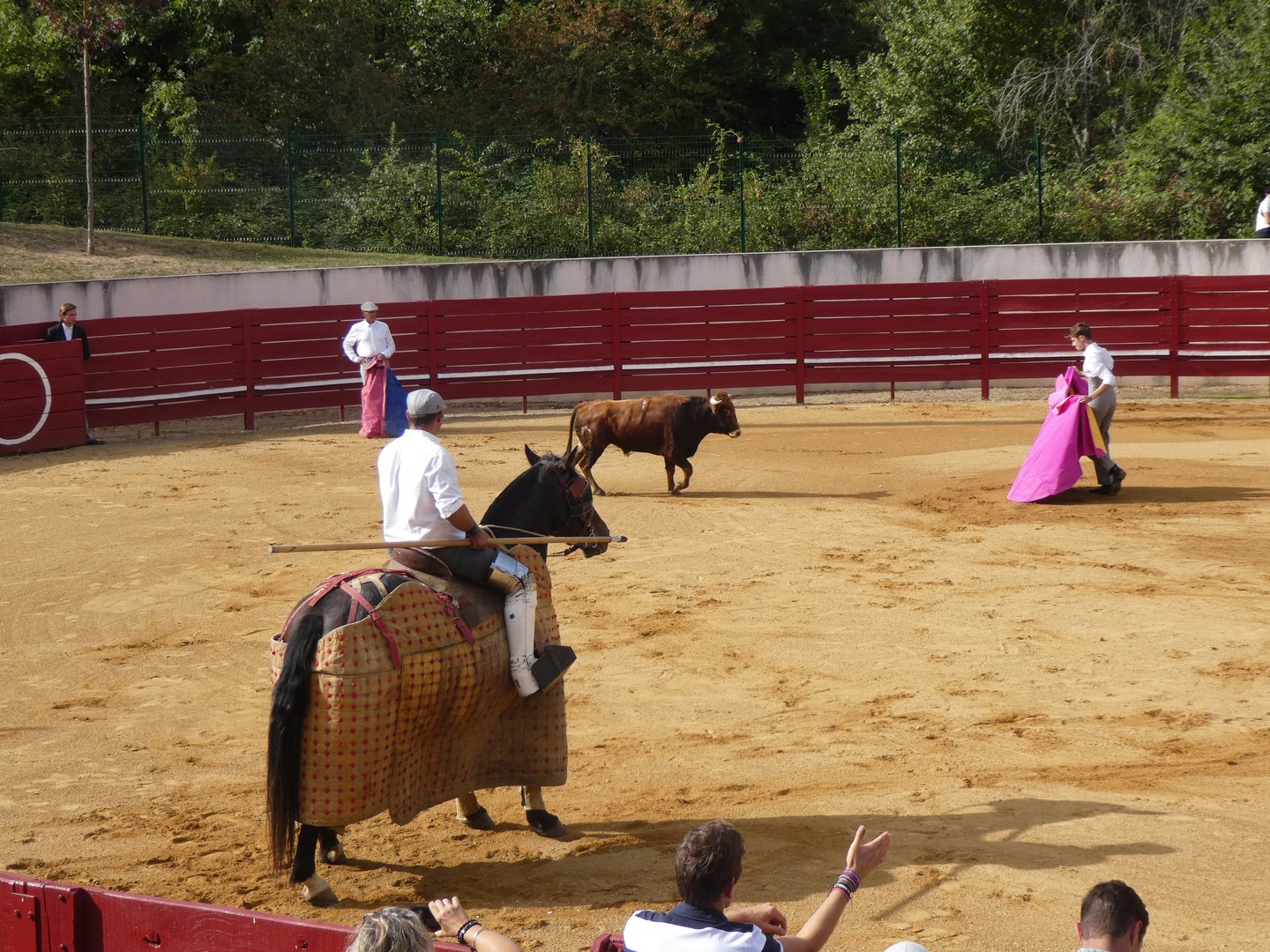 P1010565 (Copier).JPG